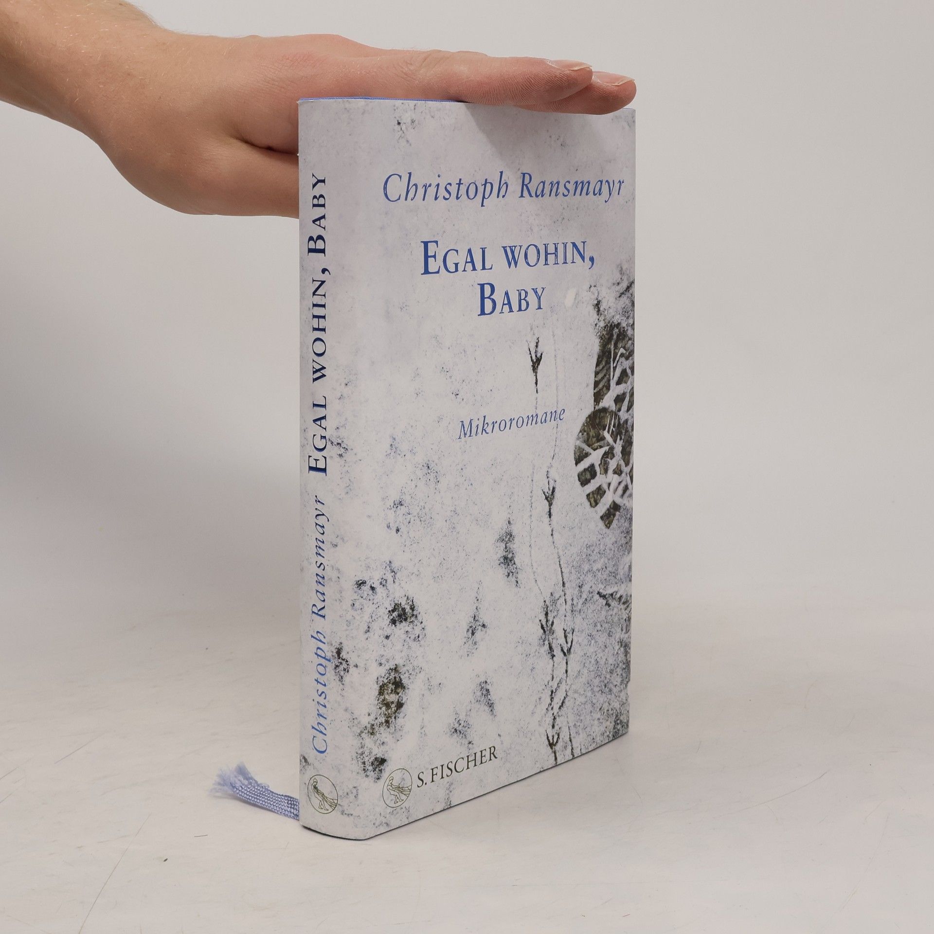 Christoph Ransmayr Egal wohin, Baby. Mikroromane