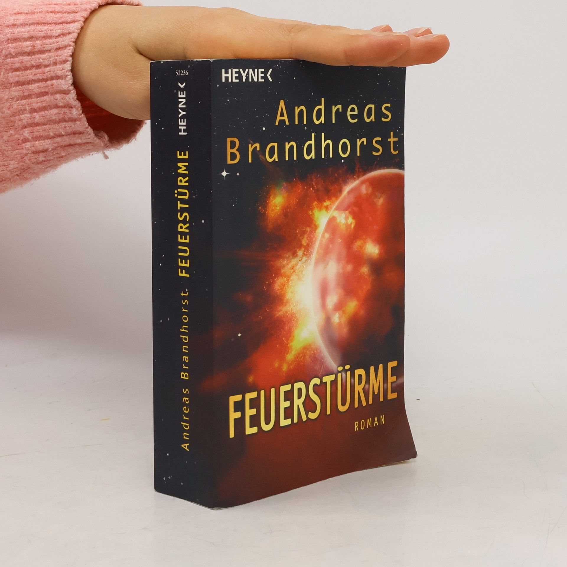Andreas Brandhorst Feuerstnrme