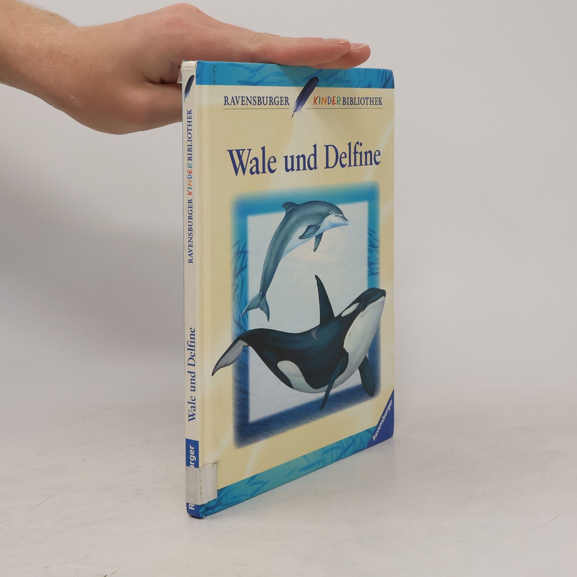 Christiane Burkhardt Wale und Delfine