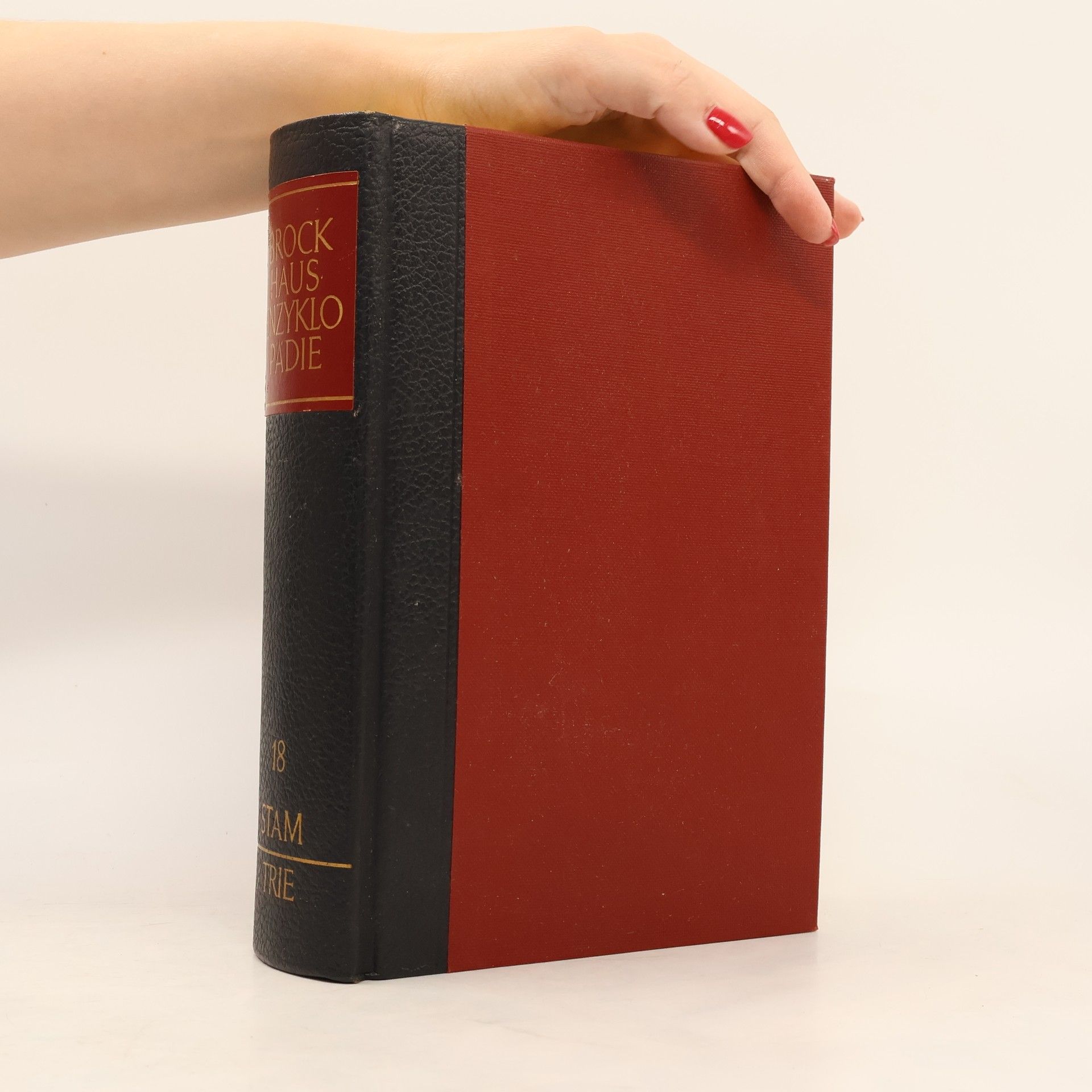 Autorenkollektiv Brockhaus Enzyklopädie. Band 18