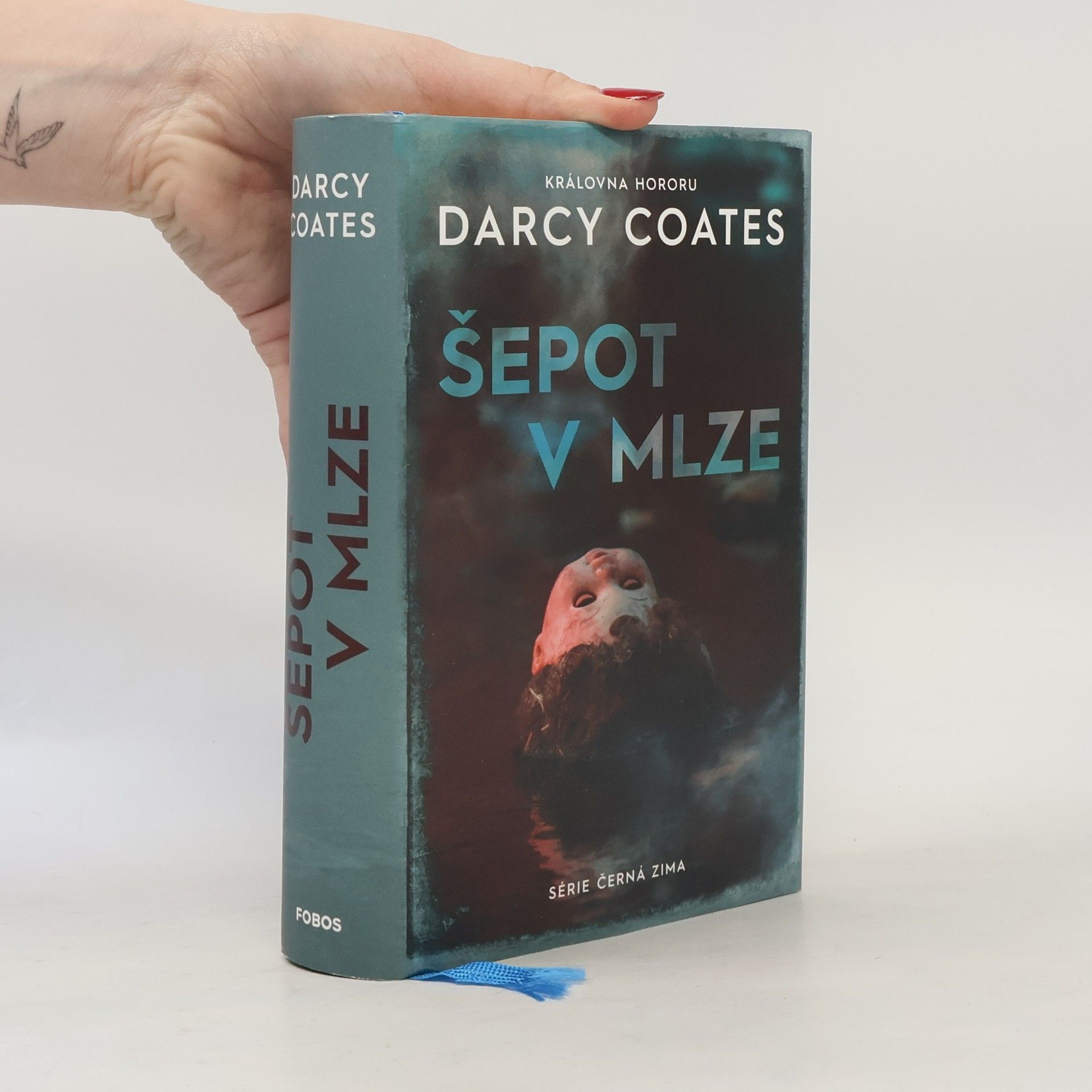 Darcy Coates Šepot v mlze