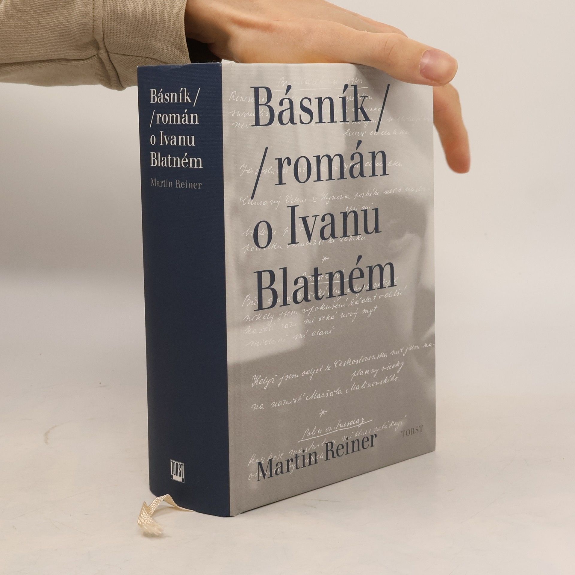 Martin Reiner Básník. Román o Ivanu Blatném