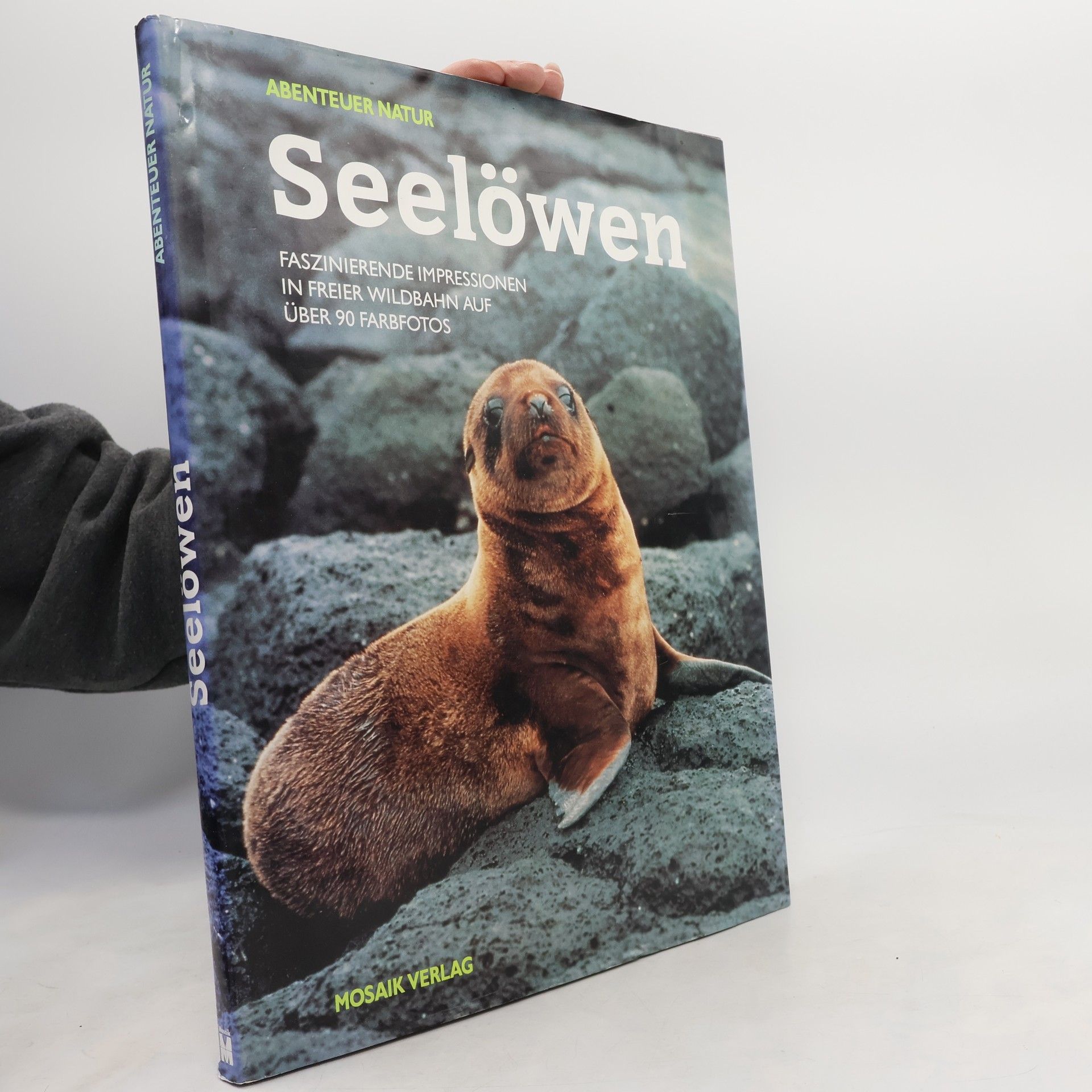 Patrick de Wilde Seelöwen