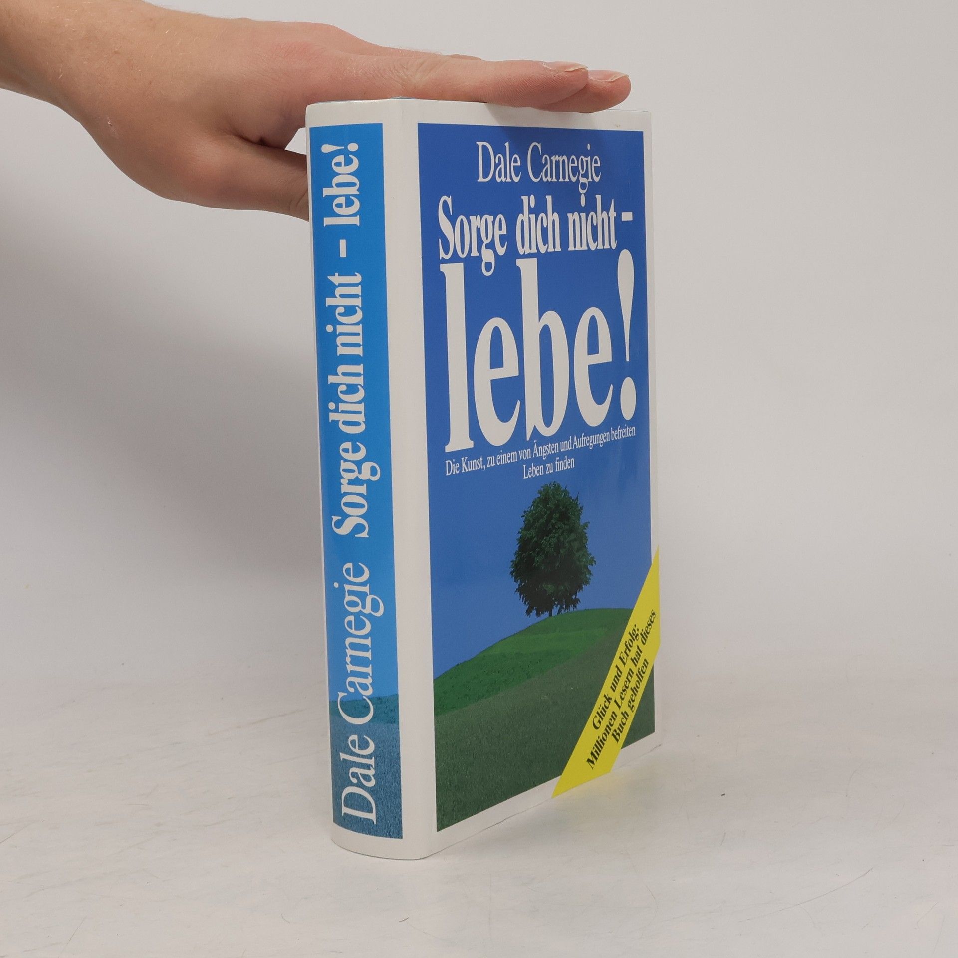 Dale Carnegie Sorge dich nicht - lebe!