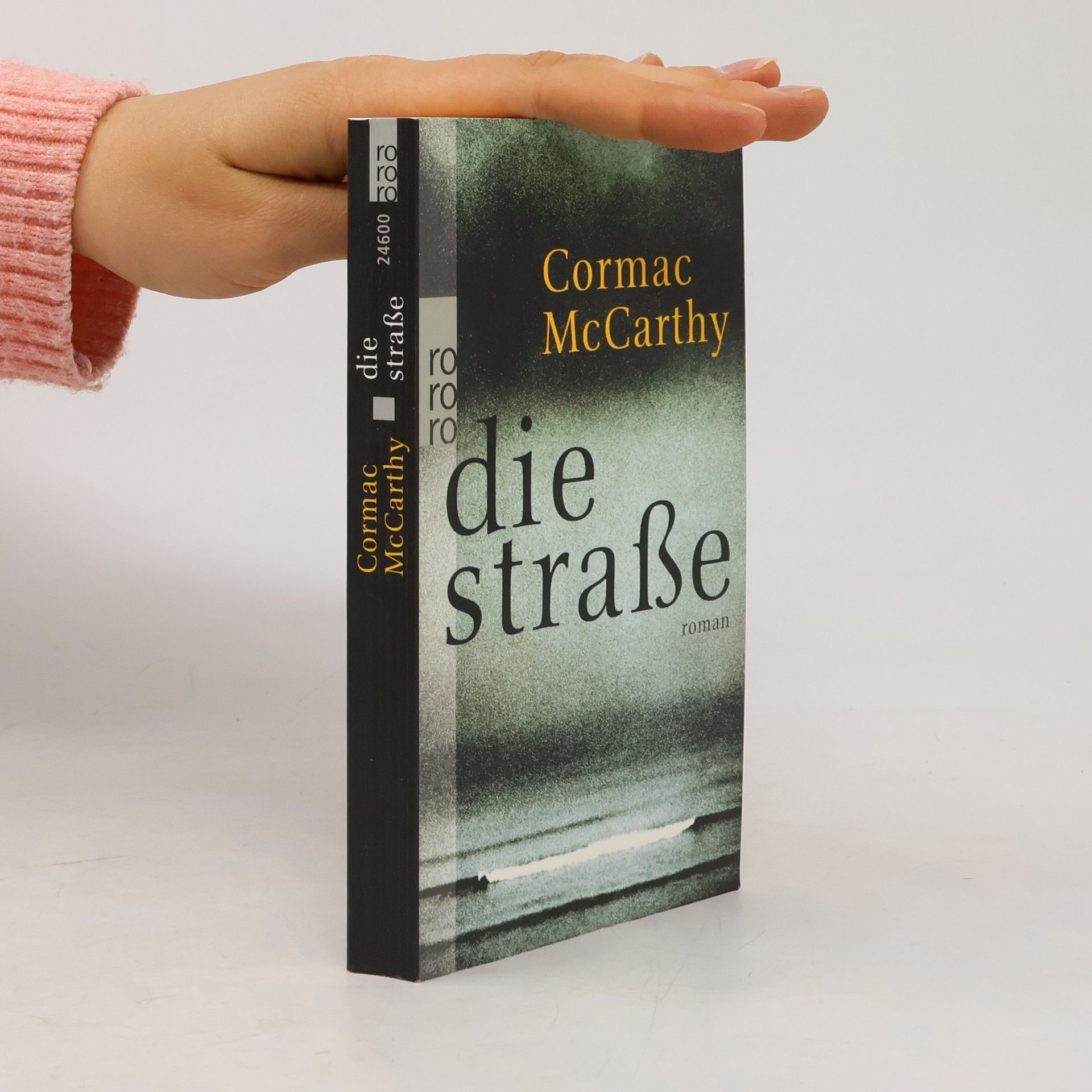 Cormac McCarthy Die Straße
