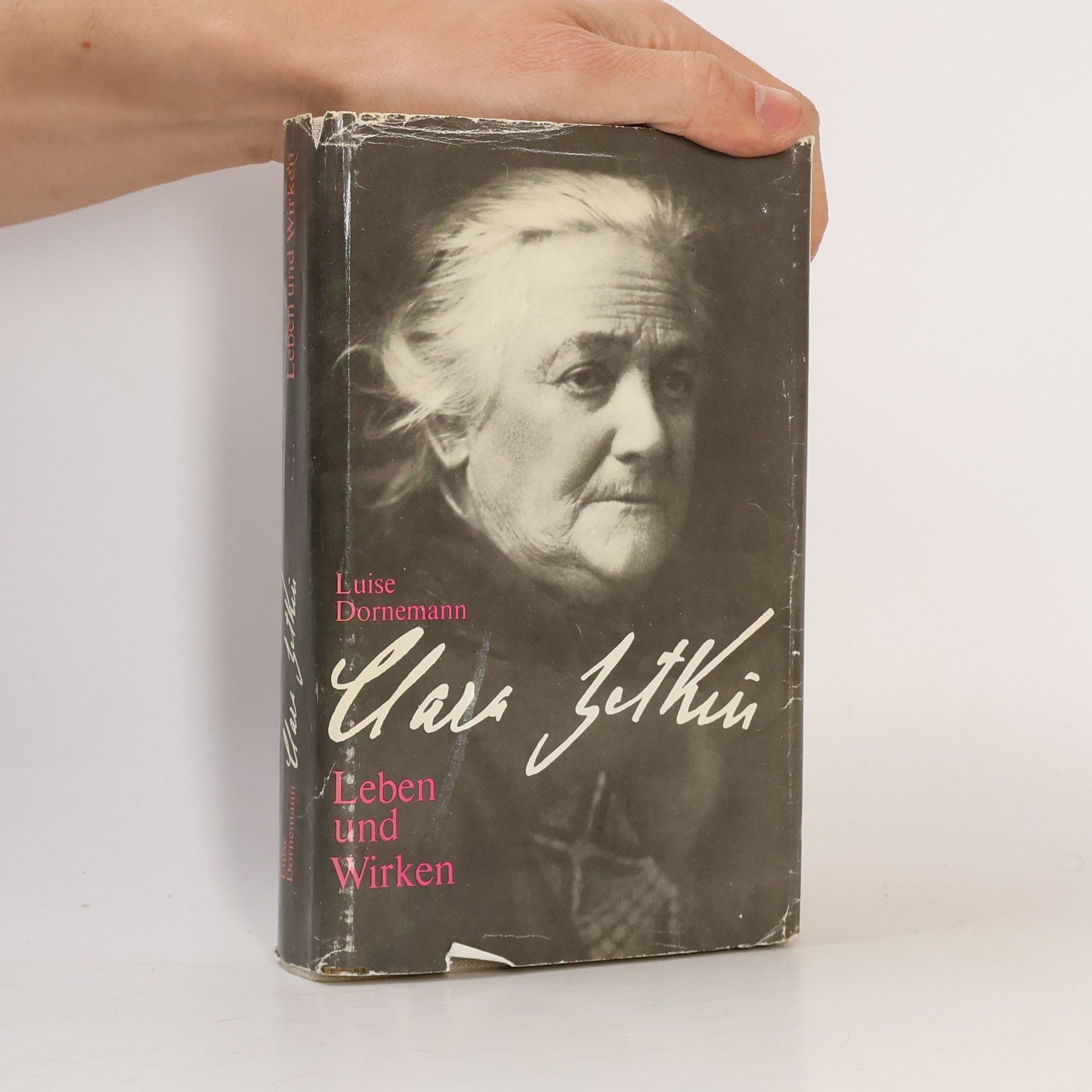 Luise Dornemann Leben und Wirken