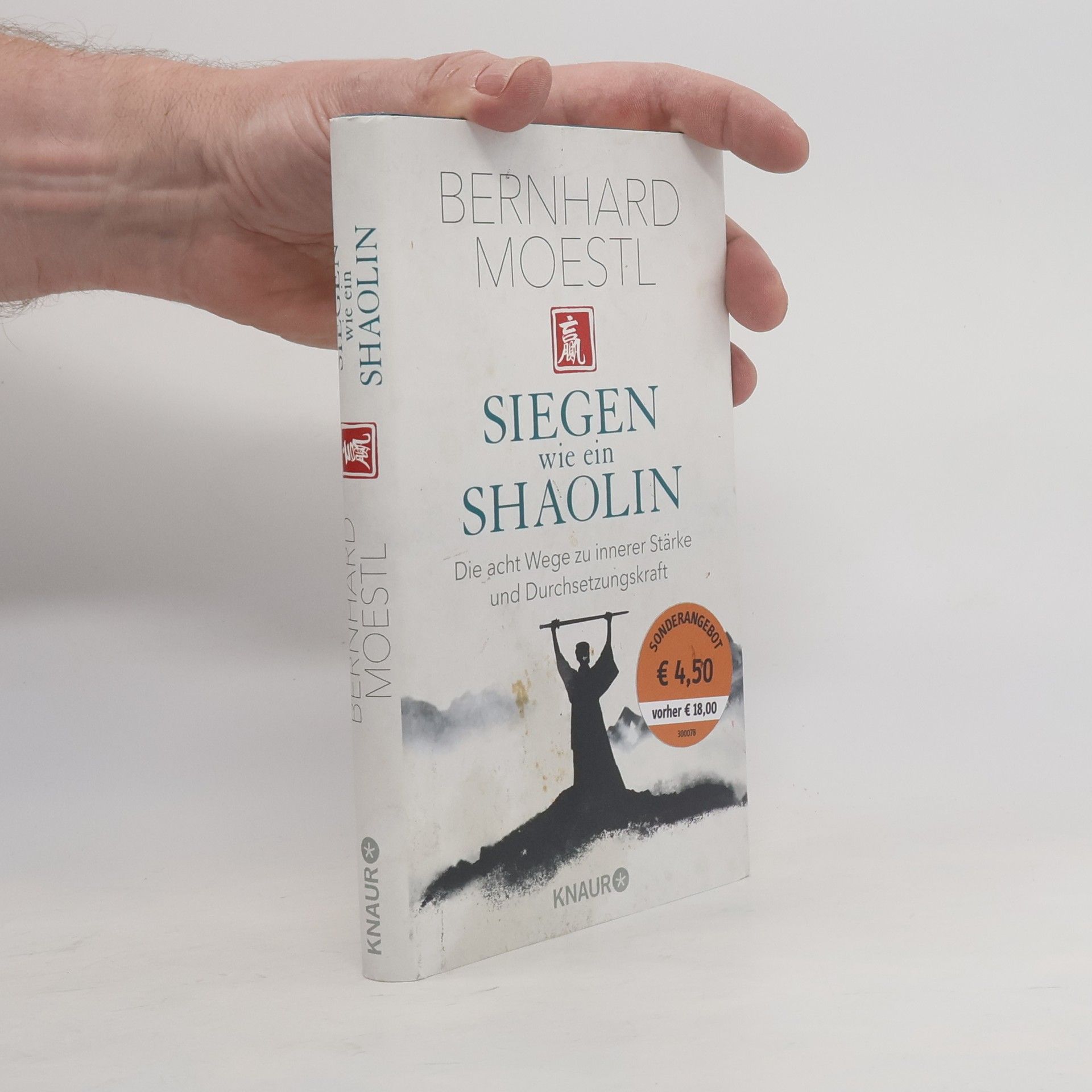 Bernhard Moestl Siegen wie ein Shaolin