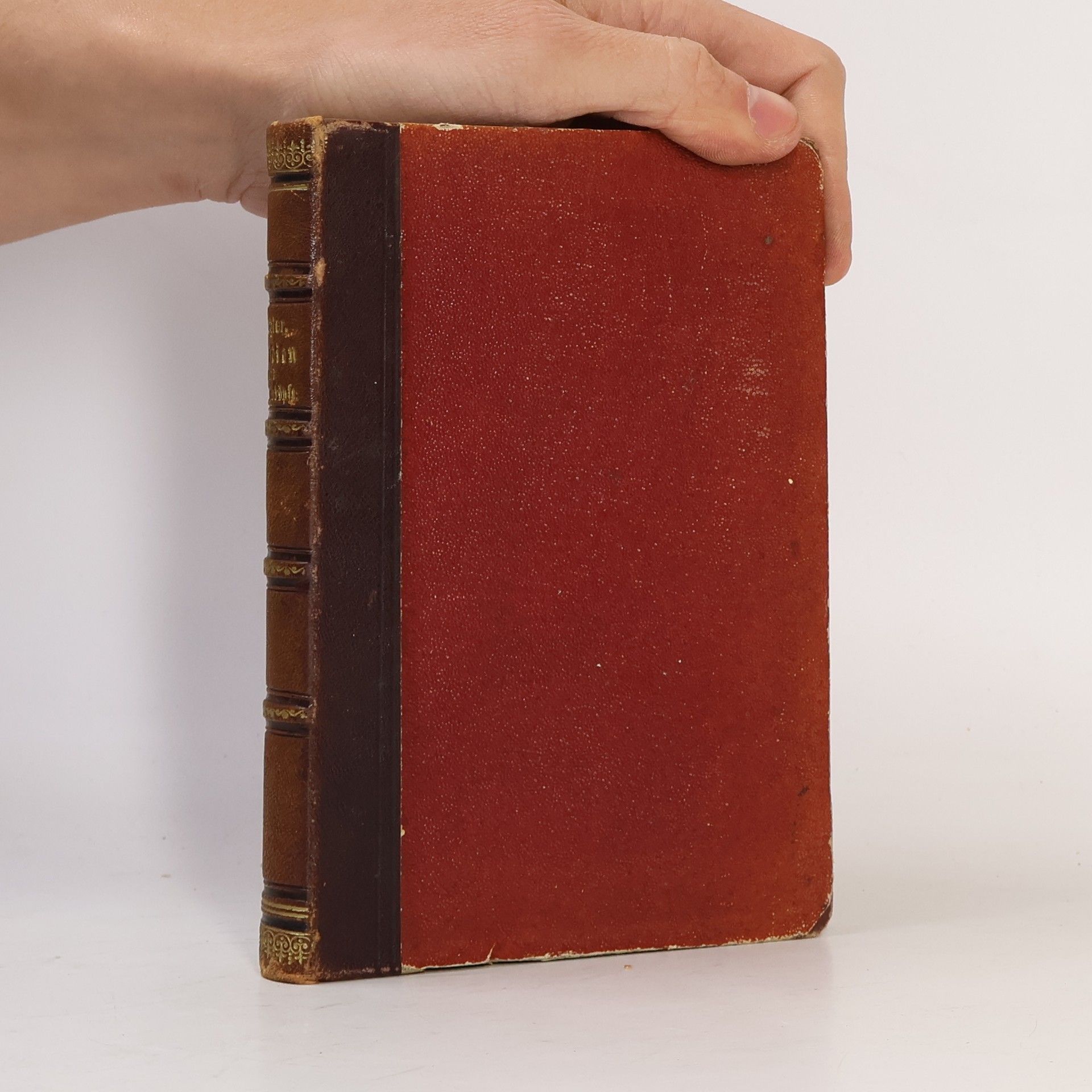 Theobald Ziegler Studien und Studienköpfe aus der neueren und neuesten Literaturgeschichte