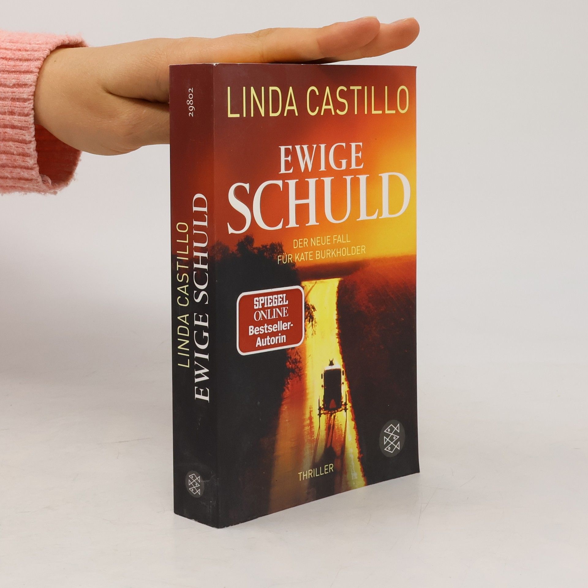 Linda Castillo Ewige Schuld