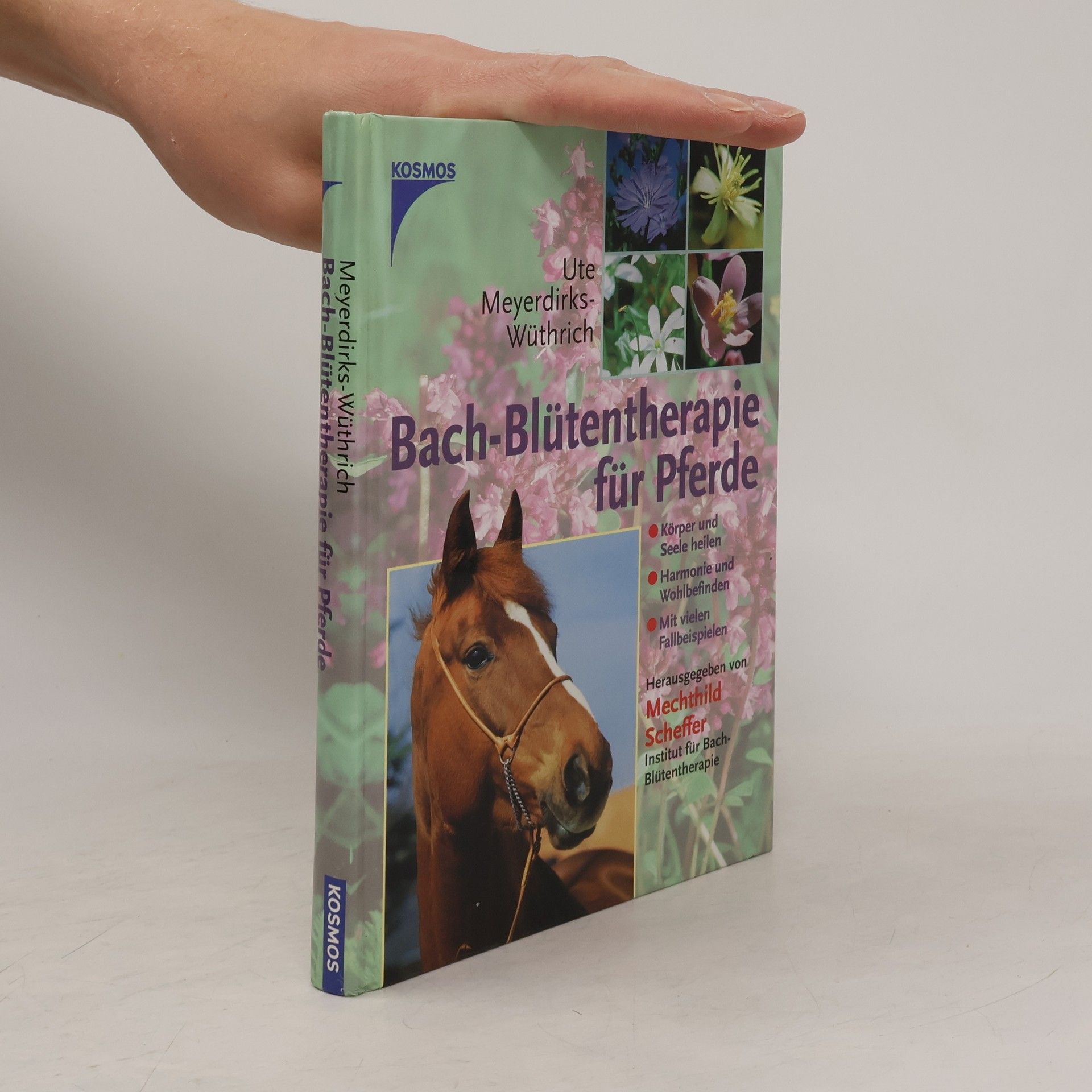 Ute Meyerdirks-Wüthrich Bach-Blütentherapie für Pferde