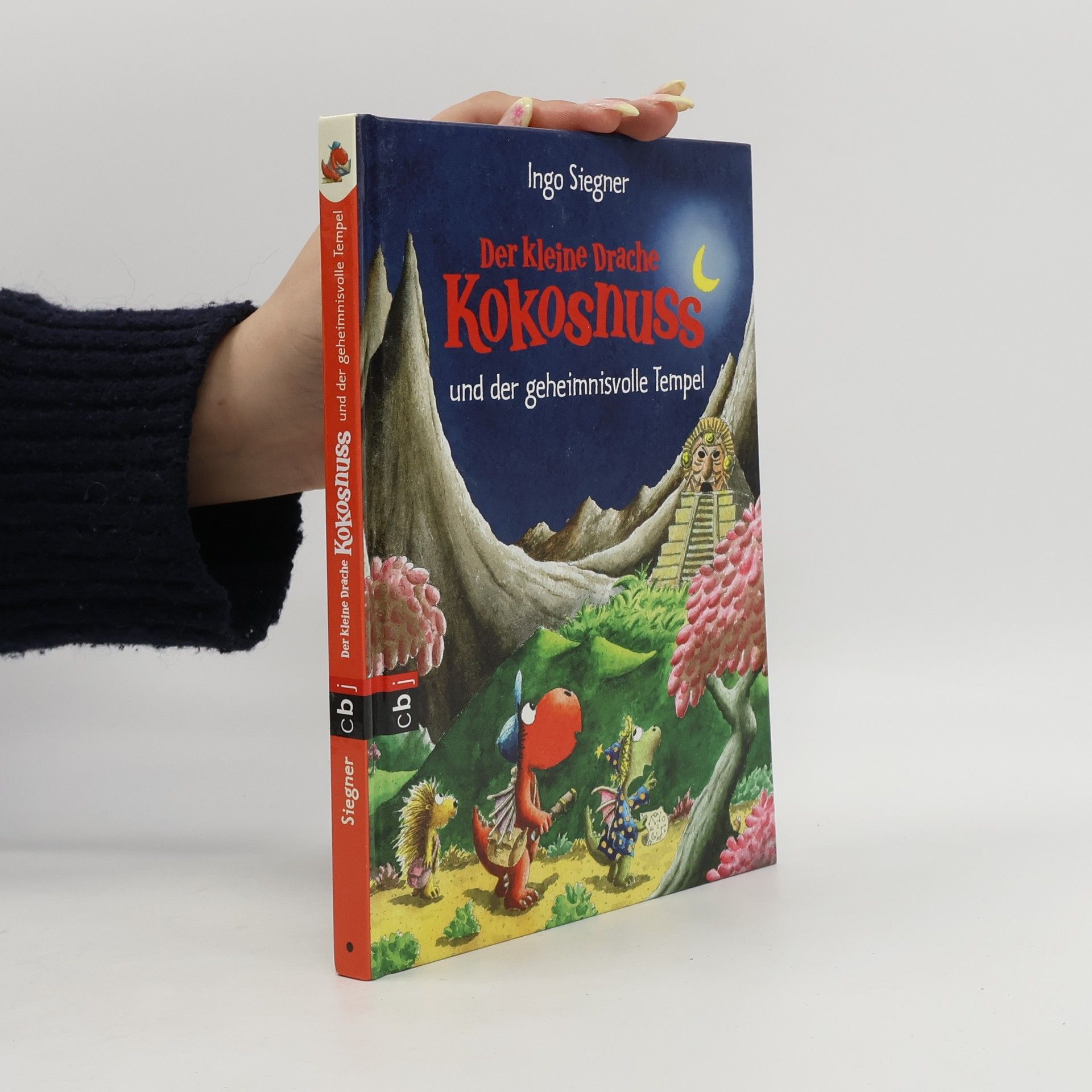 Ingo Seigner Der kleine Drache Kokosnuss und der geheimnisvolle Tempel