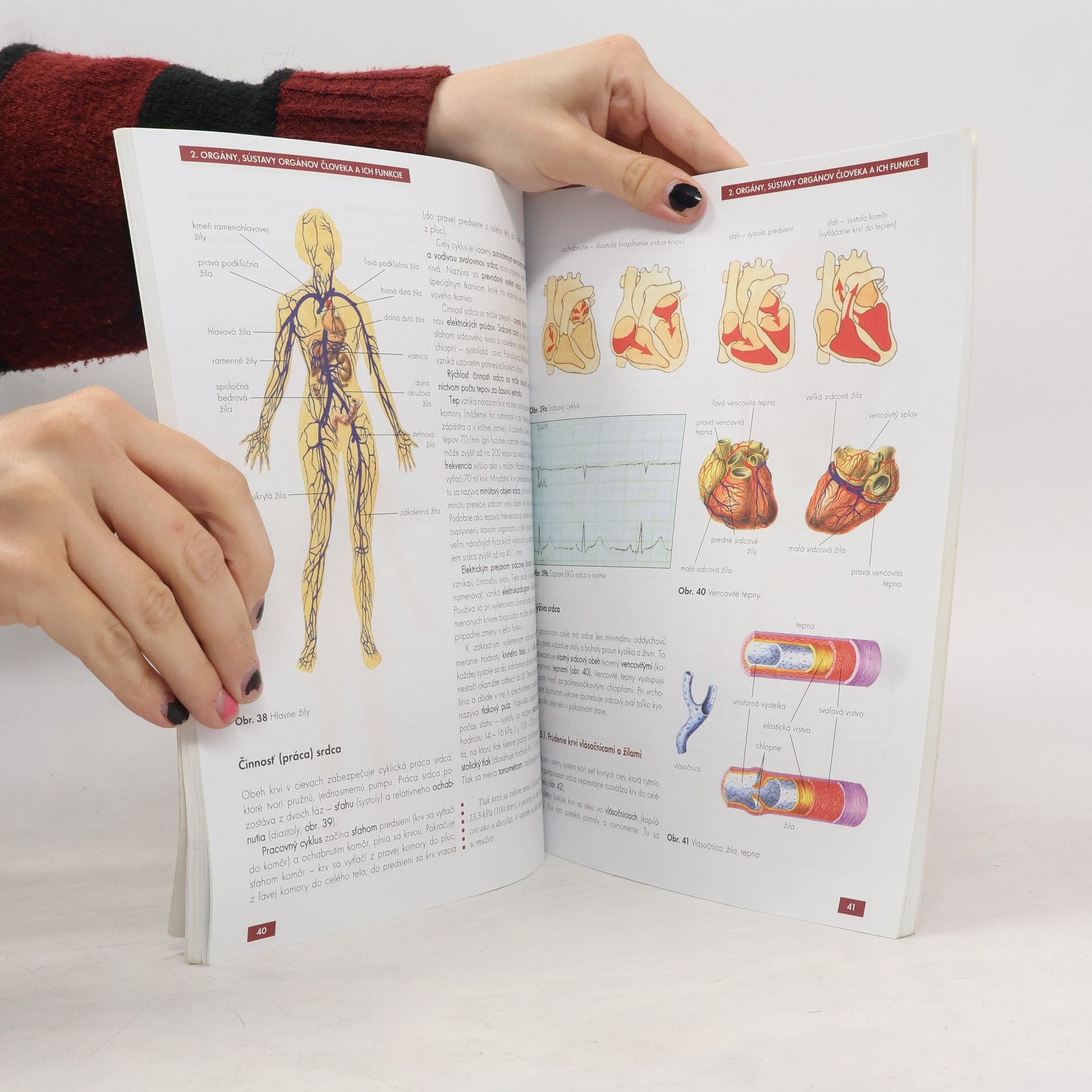 Various authors Biológia pre gymnáziá 6