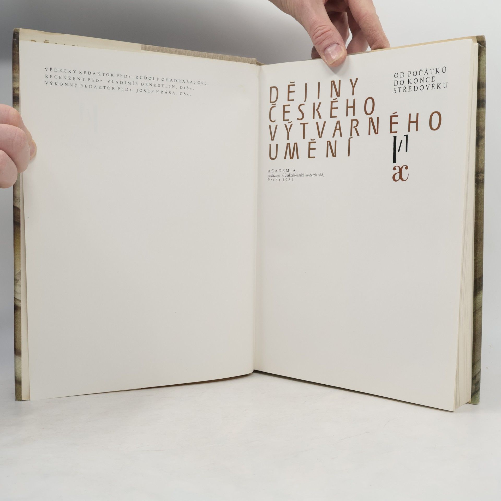 Autorenkollektiv Dějiny českého výtvarného umění I/1 a I/2
