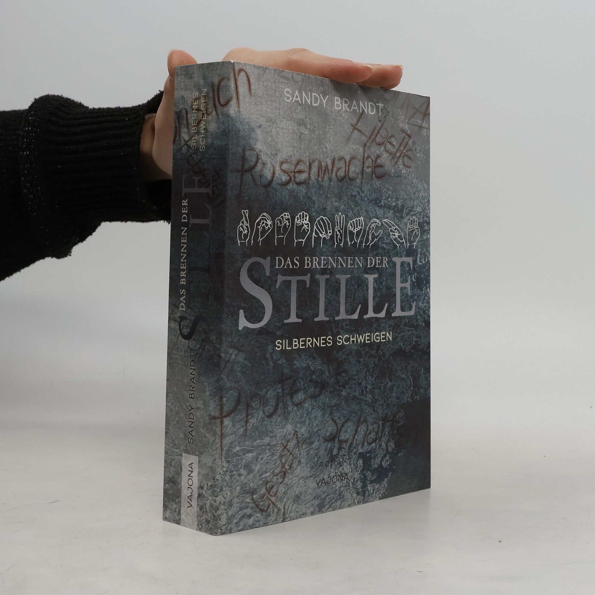 DAS BRENNEN DER STILLE - Silbernes Schweigen (Band 2)