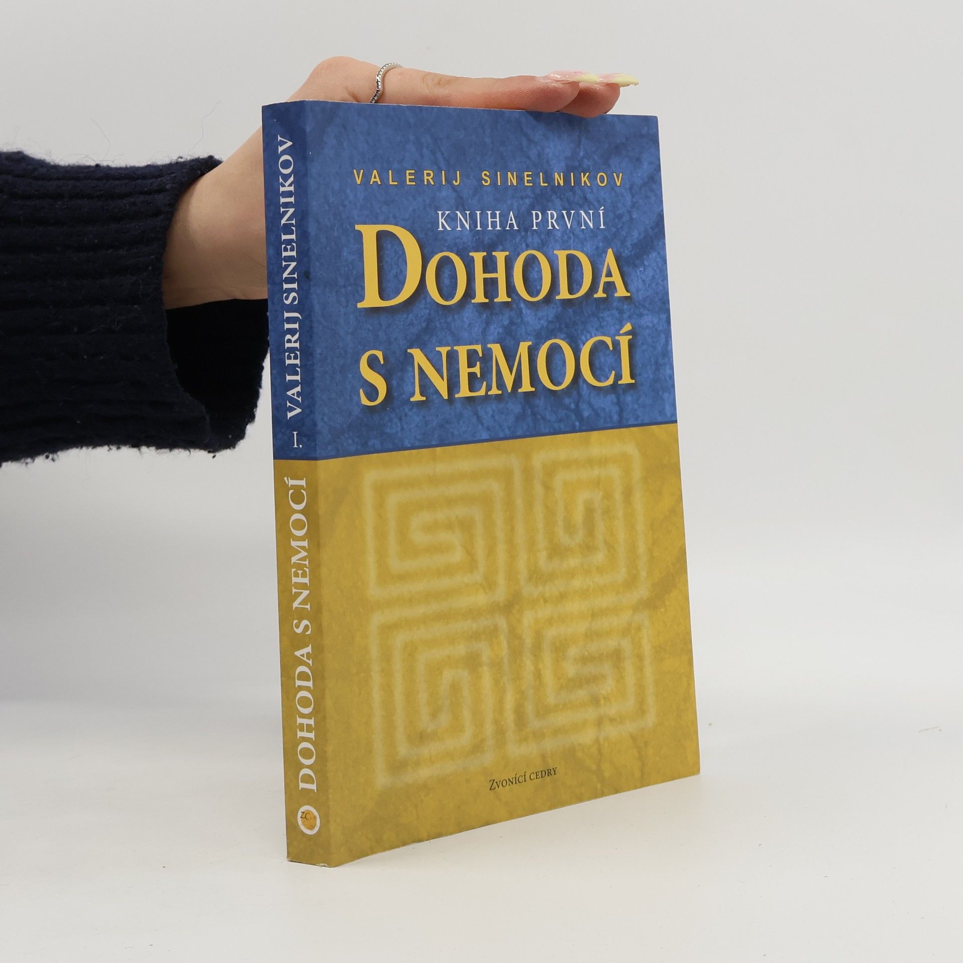 Valerij Vladimirovič Sinel‘nikov Dohoda s nemocí. Kniha první
