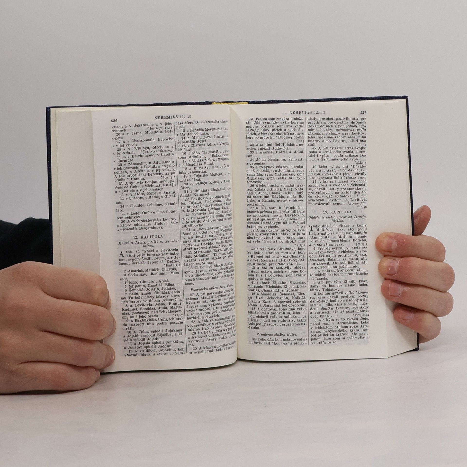 Kolektiv autorů Svätá biblia