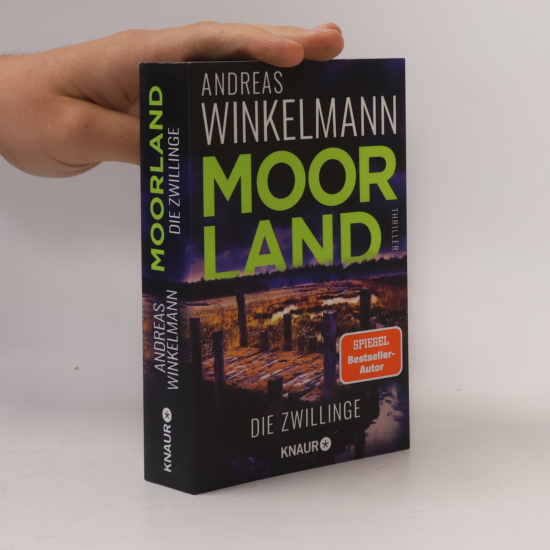 Hendrik Winter Moorland. Die Zwillinge