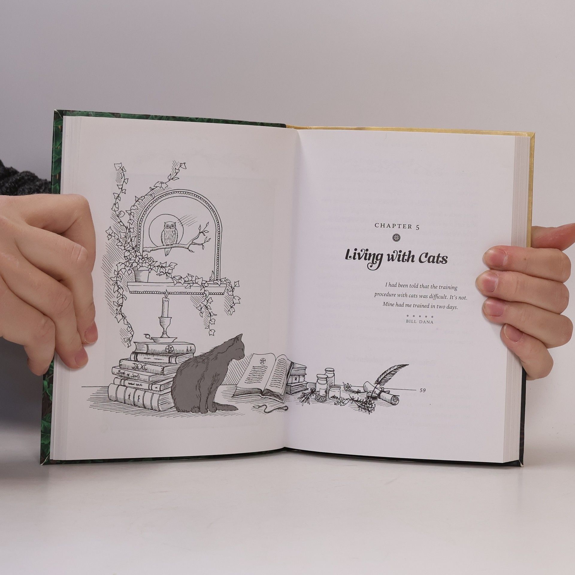 Deborah Blake The Little Book of Cat Magic: Spells, Charms & Tales