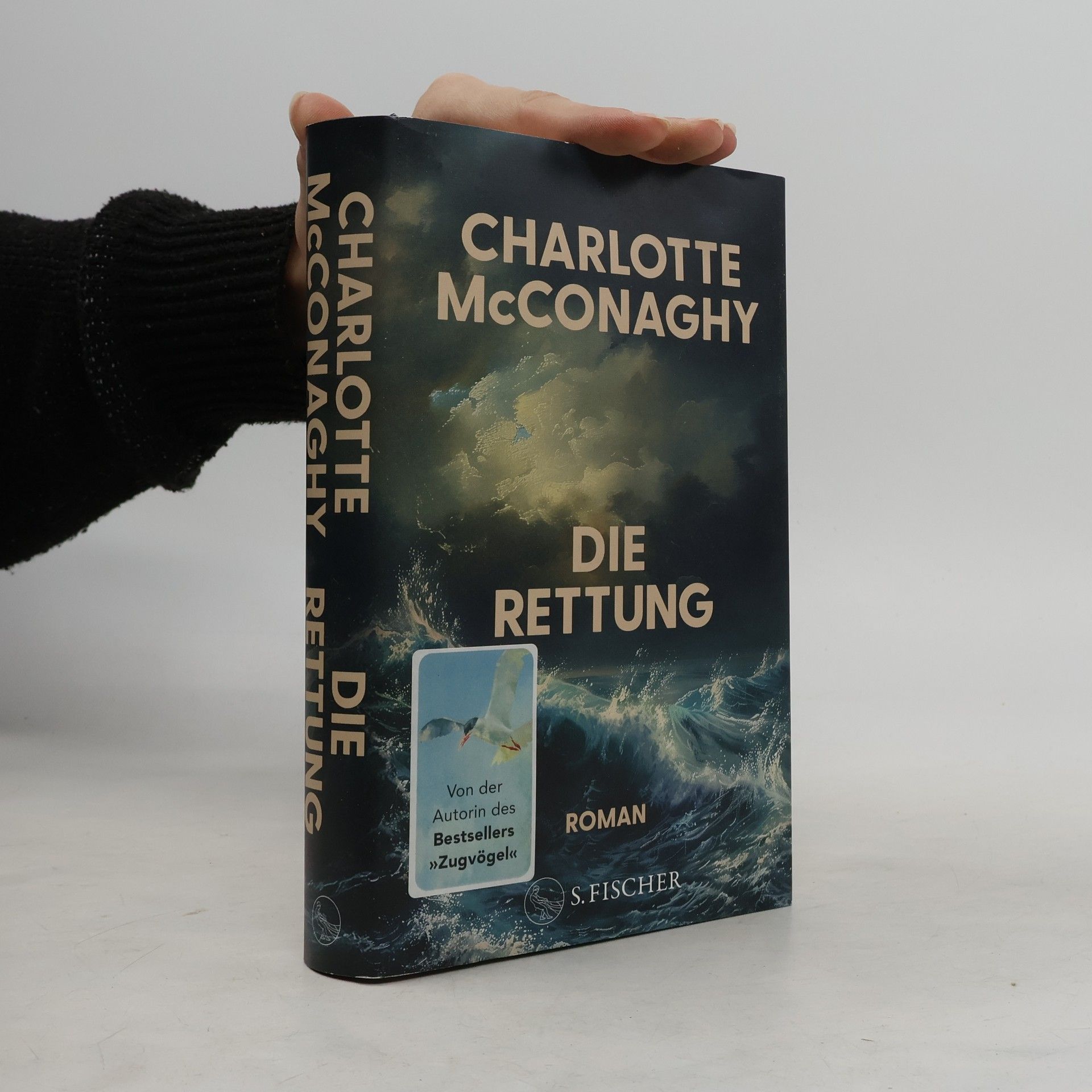 CHARLOTTE. MCCONAGHY Die Rettung