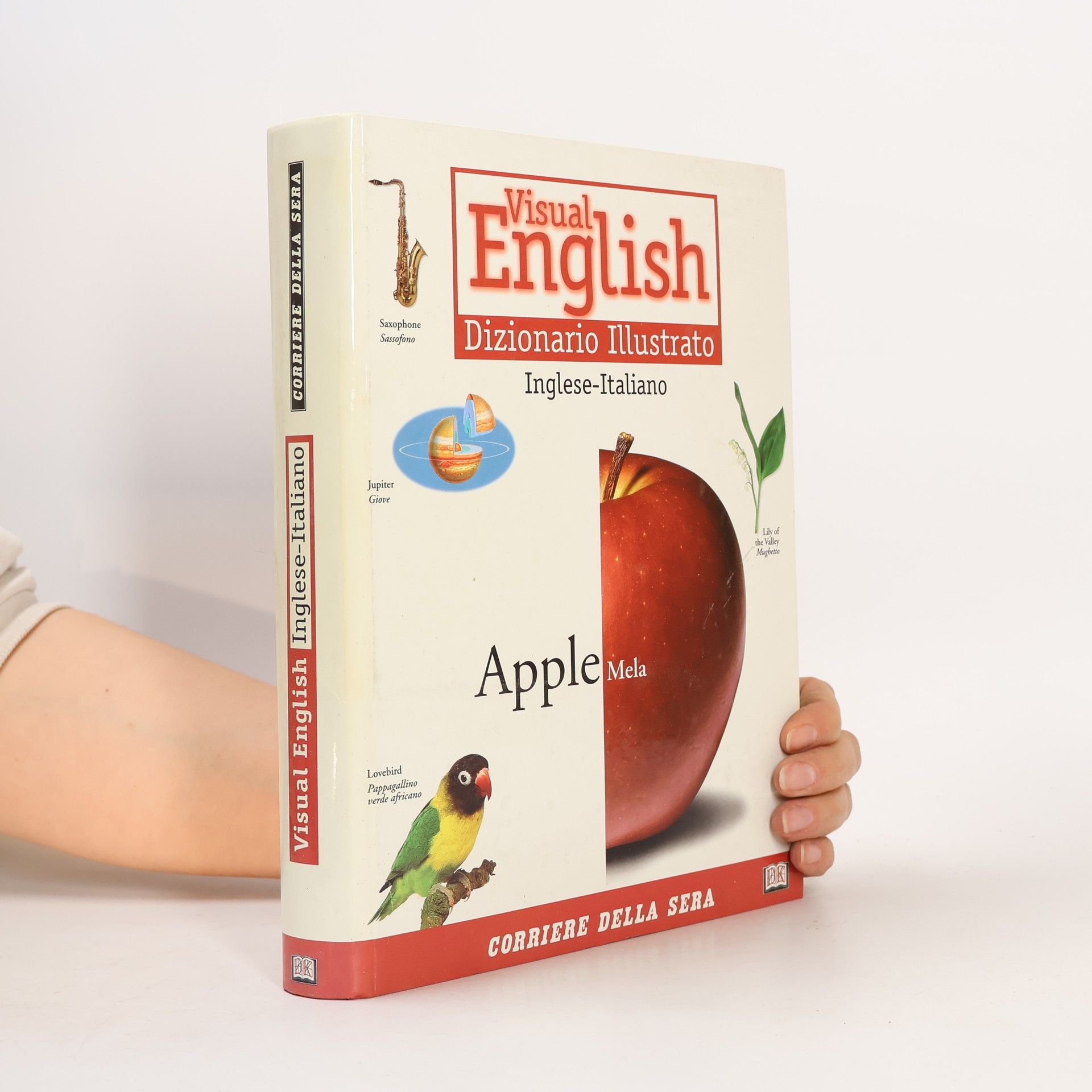 Autores varios Visual English. Dizionario Illustrato. Inglese-Italiano