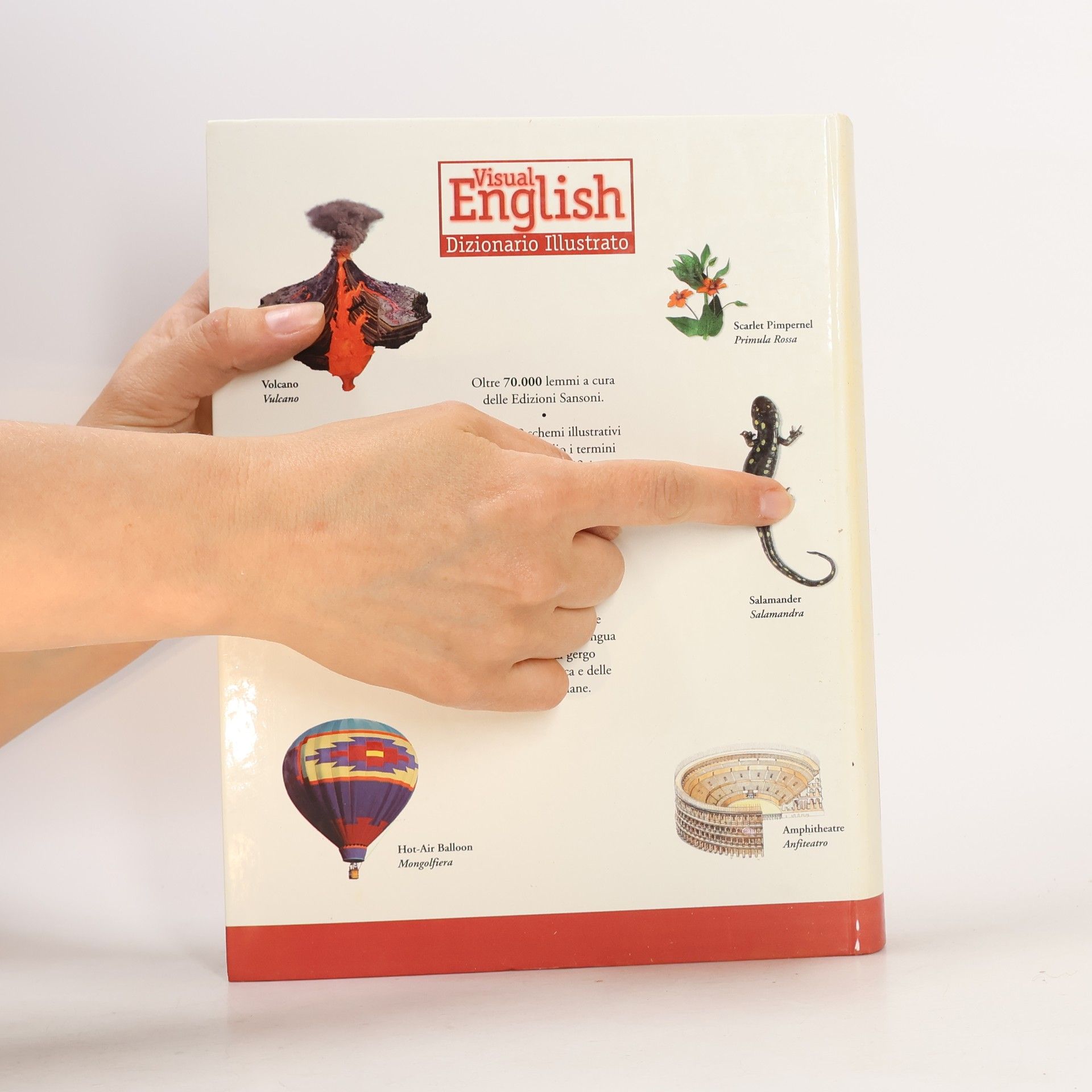 Autores varios Visual English. Dizionario Illustrato. Inglese-Italiano