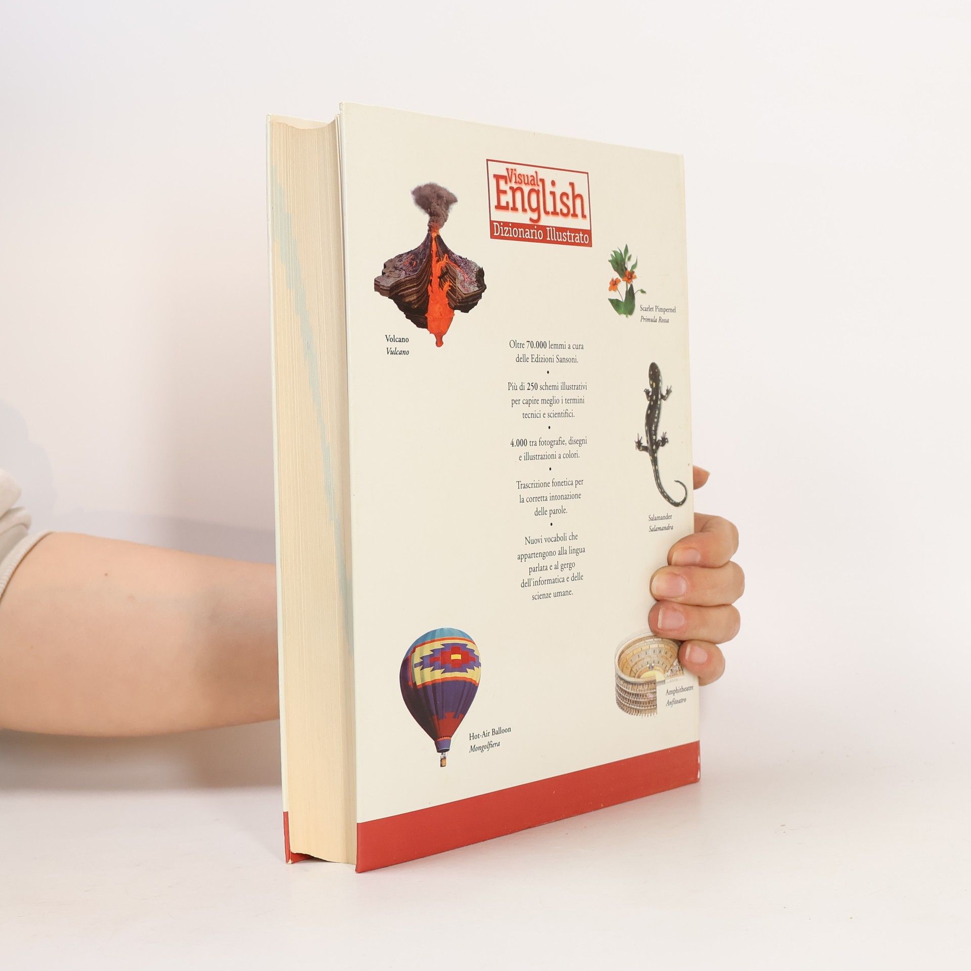 Autores varios Visual English. Dizionario Illustrato. Inglese-Italiano