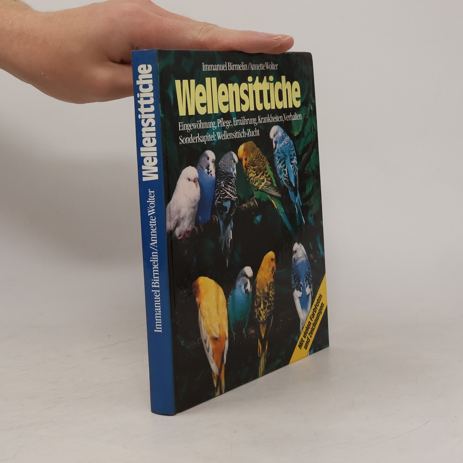 Annette Wolter Wellensittiche