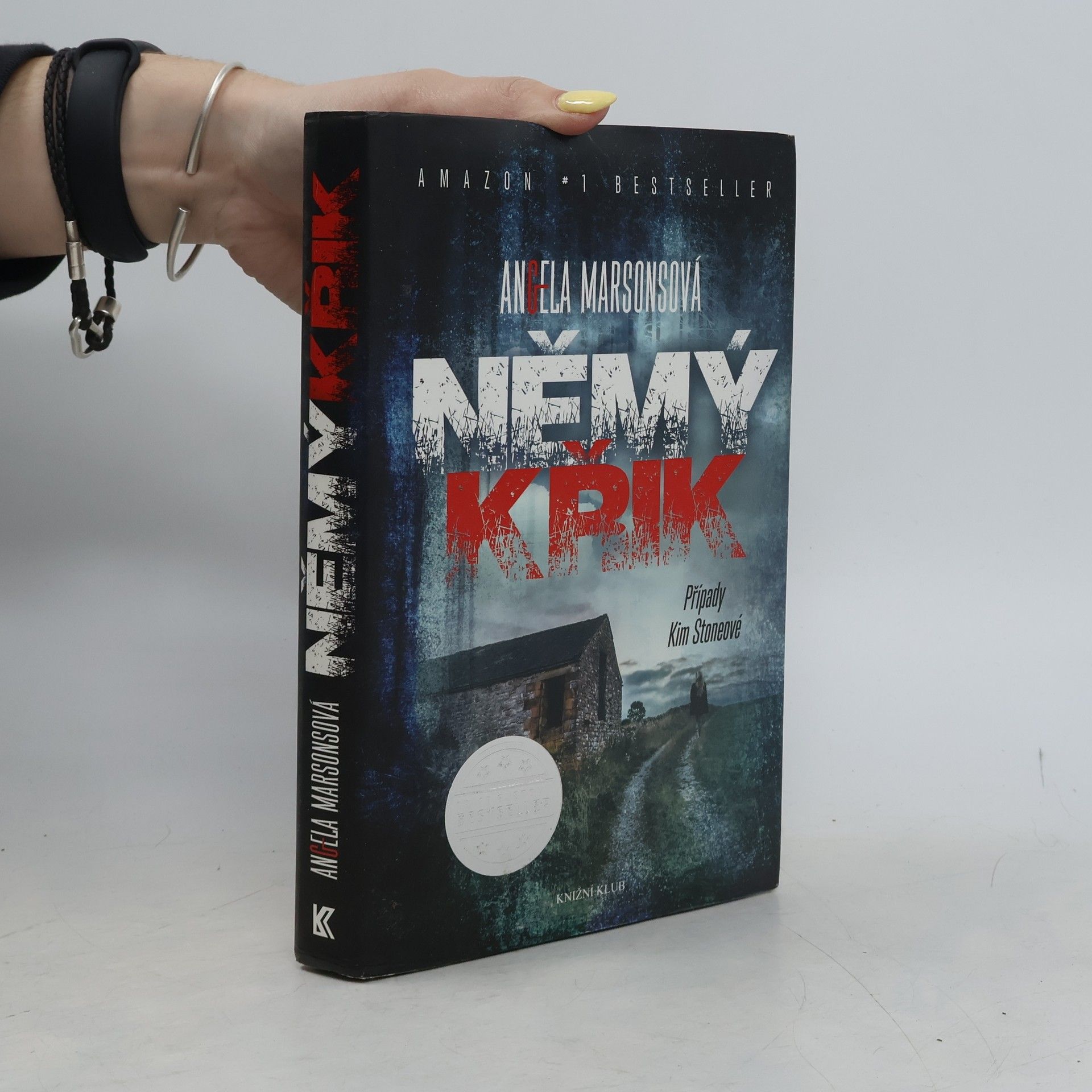 Angela Marsons Němý křik