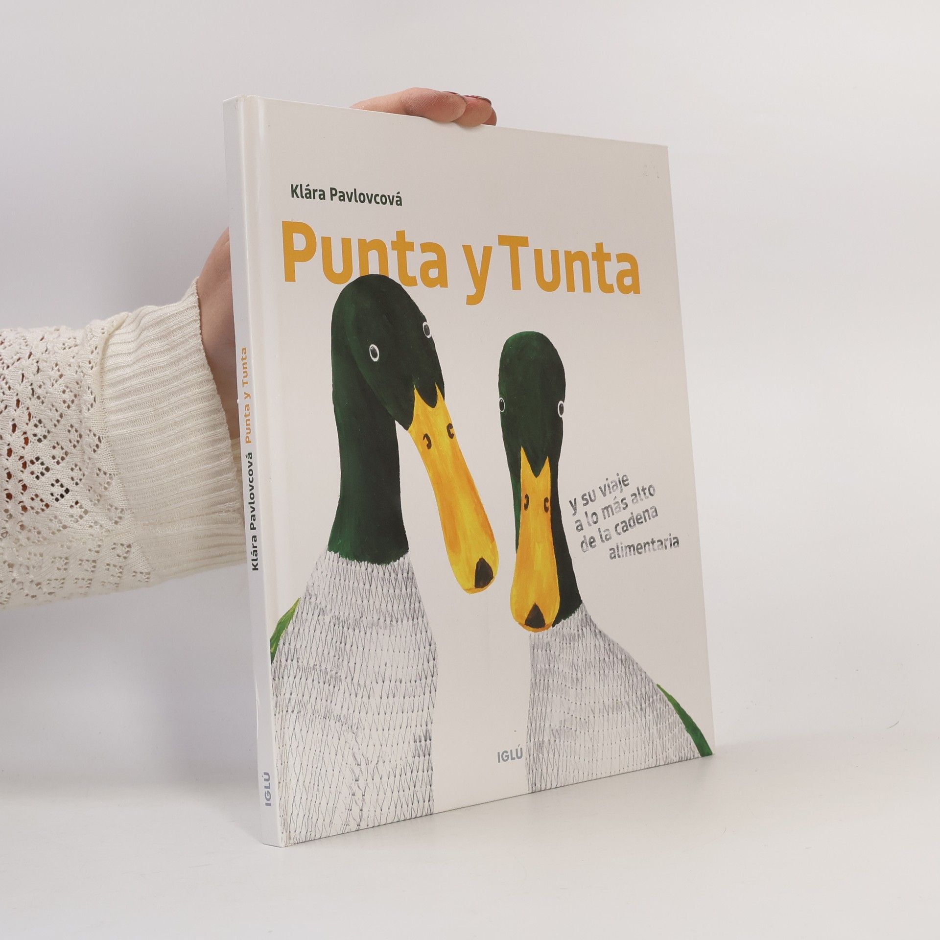 Punta y Tunta