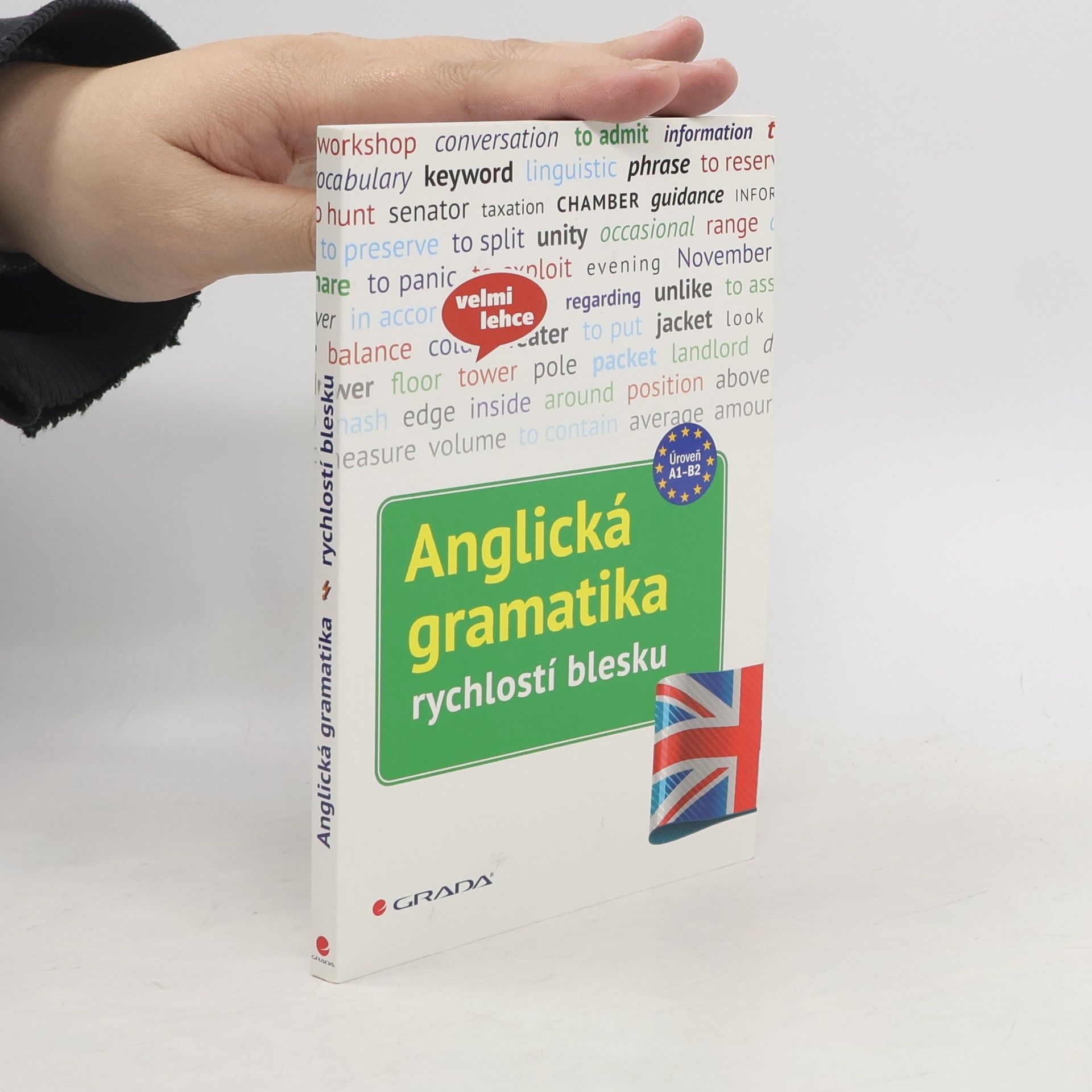 Martin Lutz Anglická gramatika: rychlostí blesku