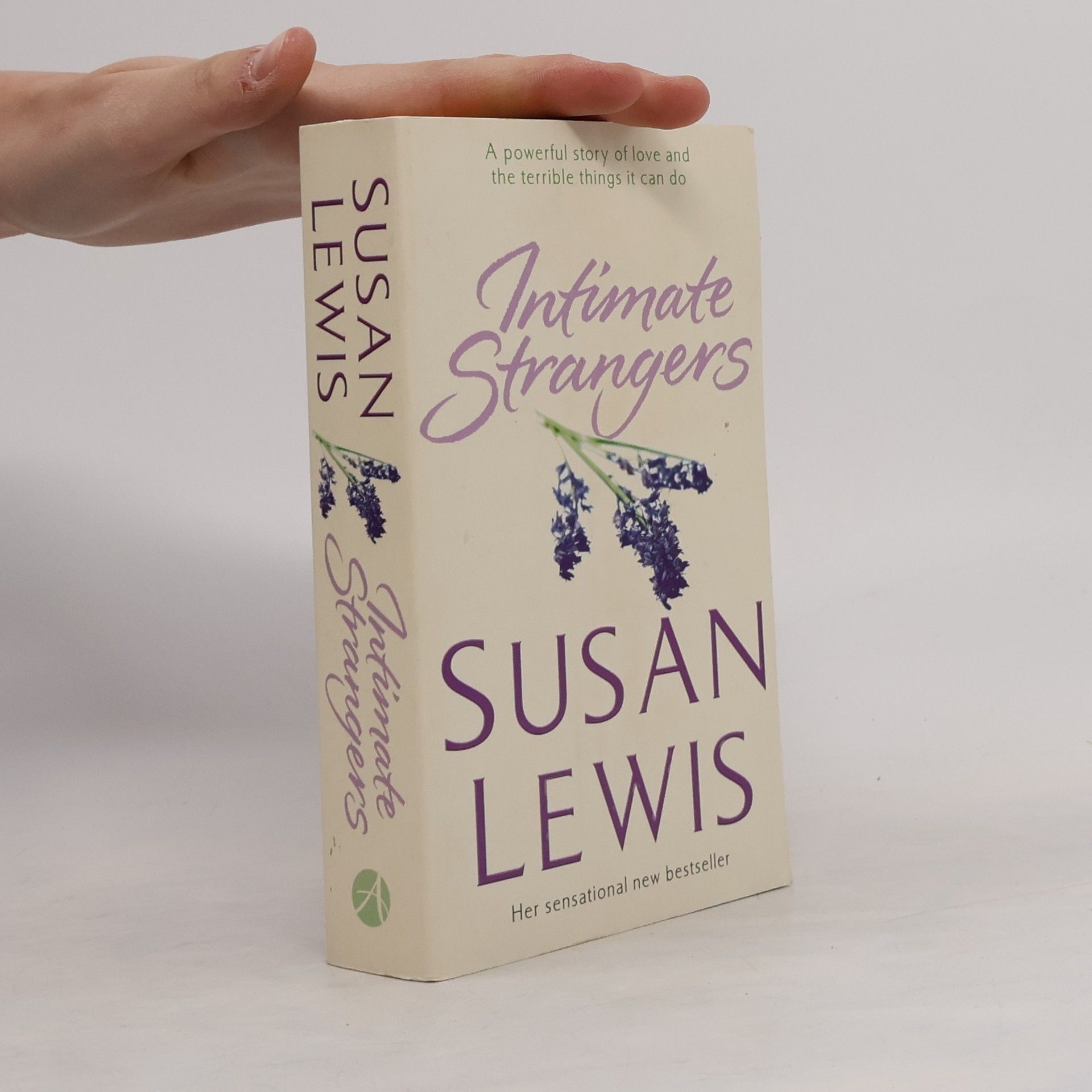 Susan Lewis Intimate Strangers