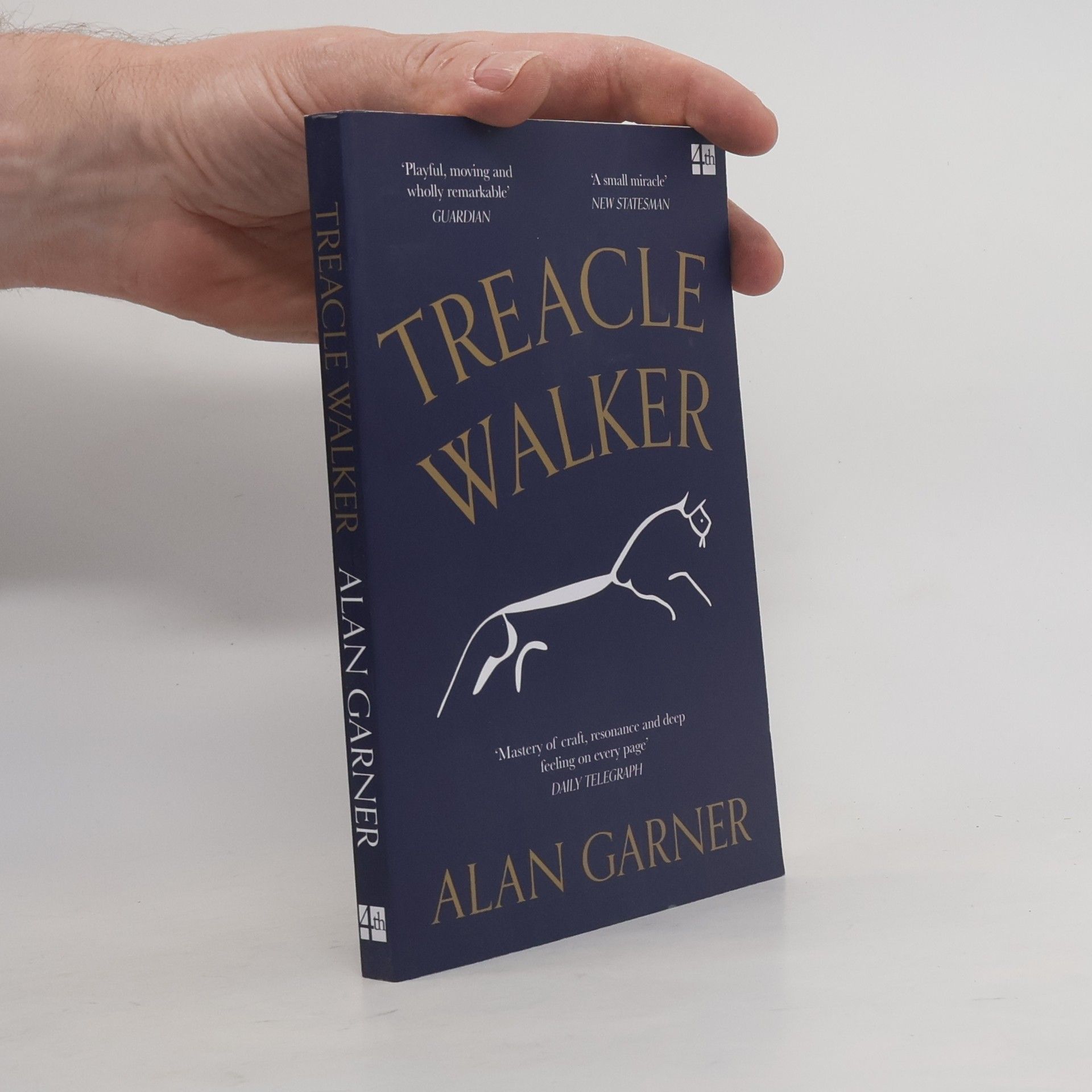 Alan Garner Treacle Walker