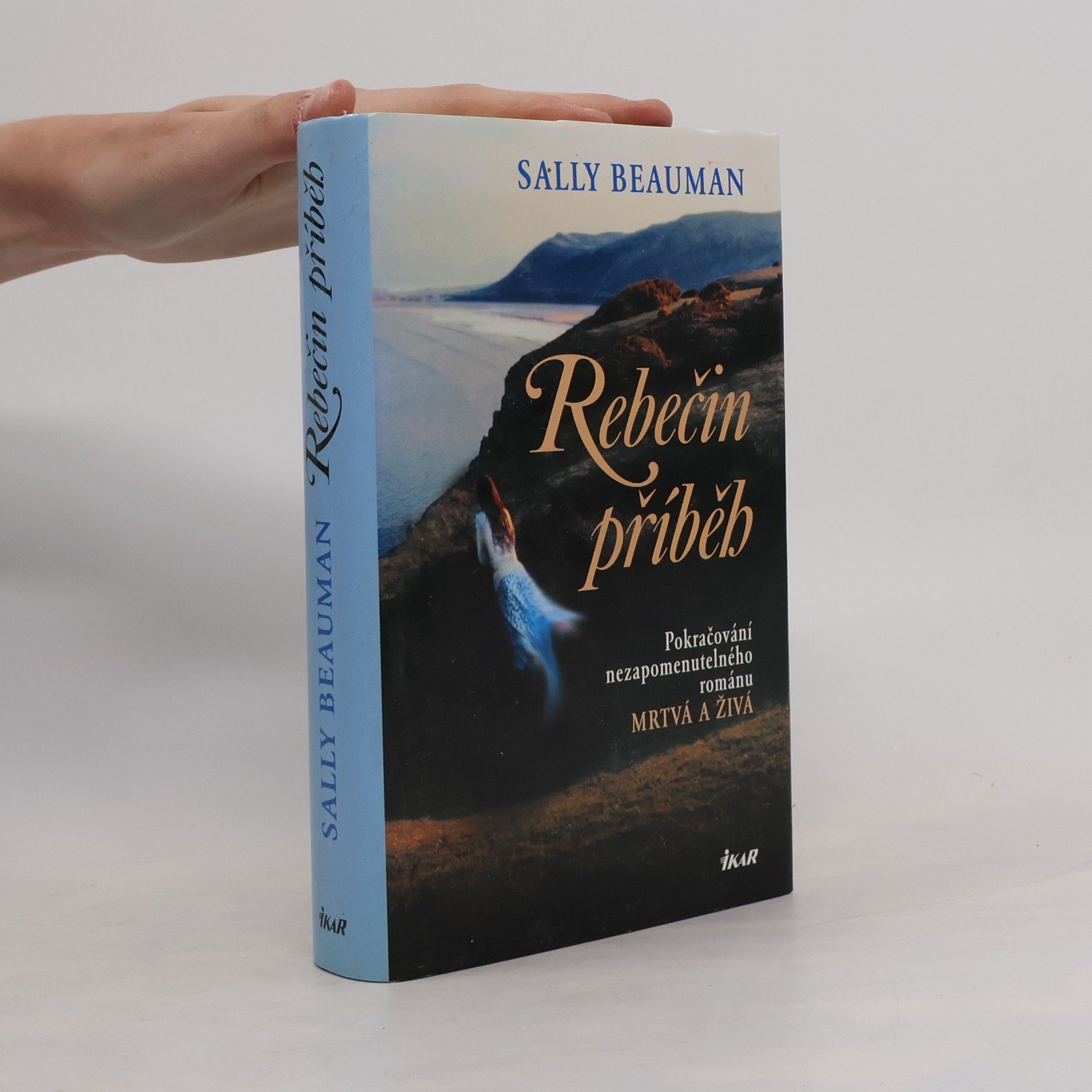 Sally Beauman Rebečin příběh