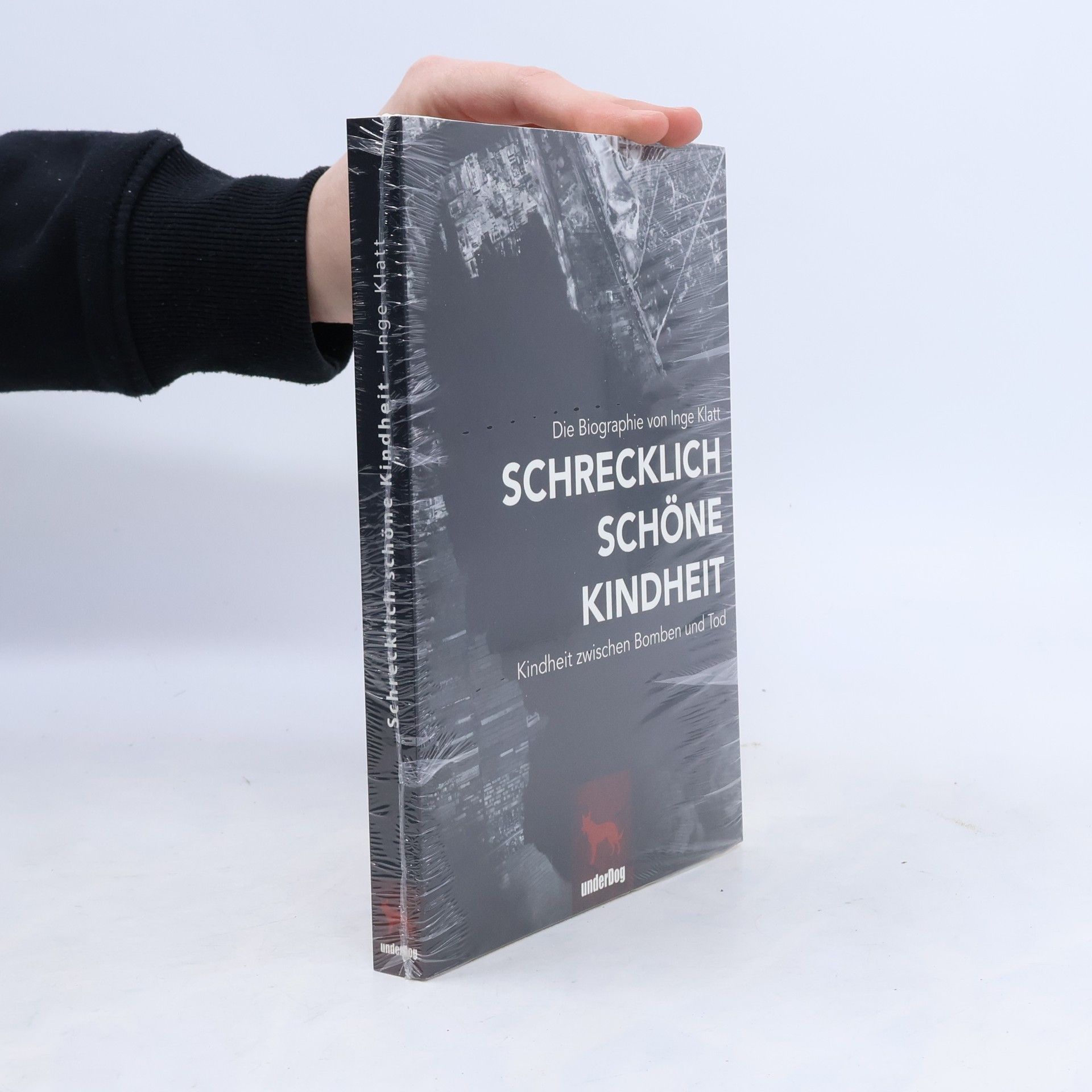 Inge Klatt Schrecklich schöne Kindheit
