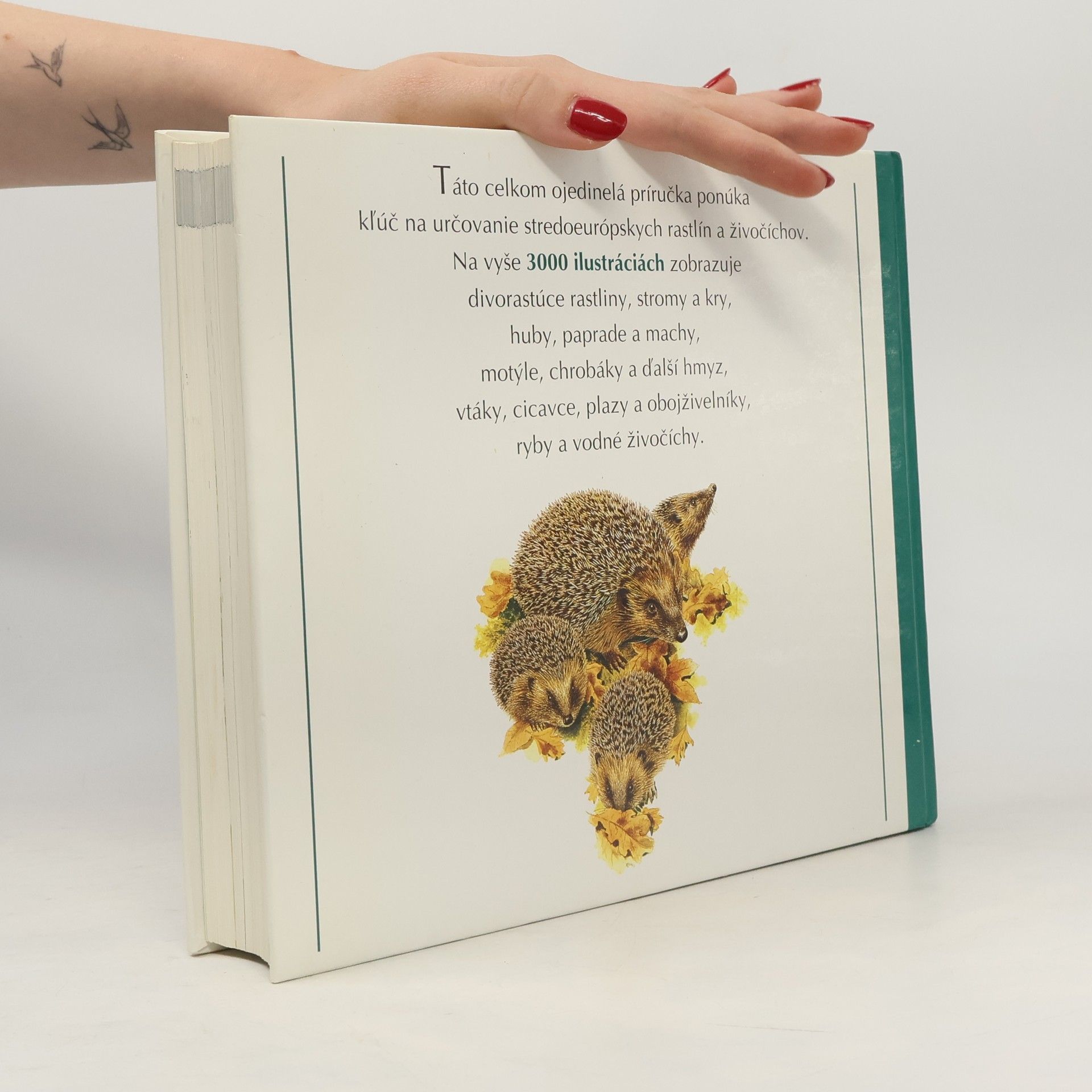 Collectif d'auteurs Naša príroda