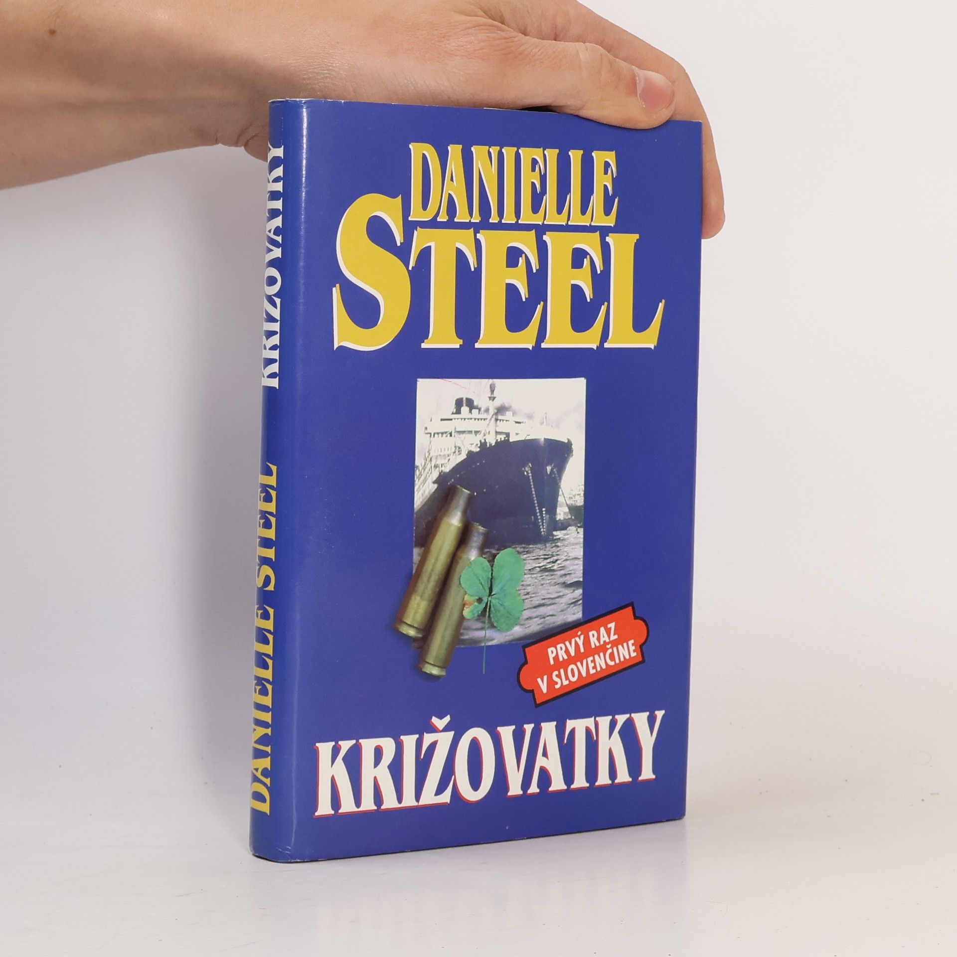Danielle Steelová Križovatky