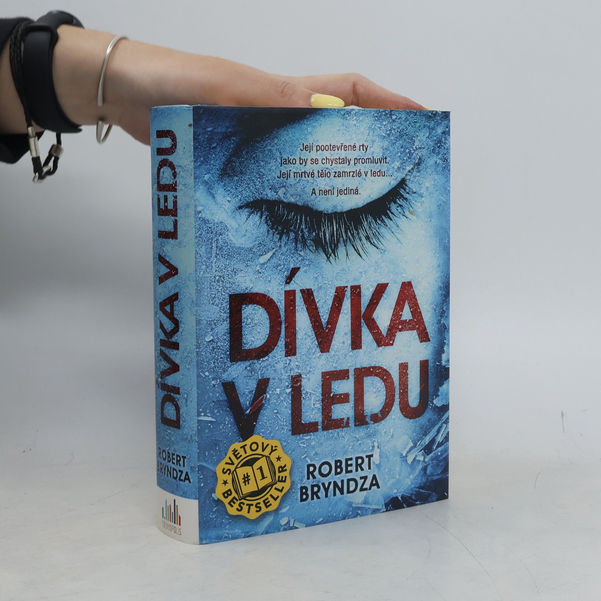 Robert Bryndza Dívka v ledu