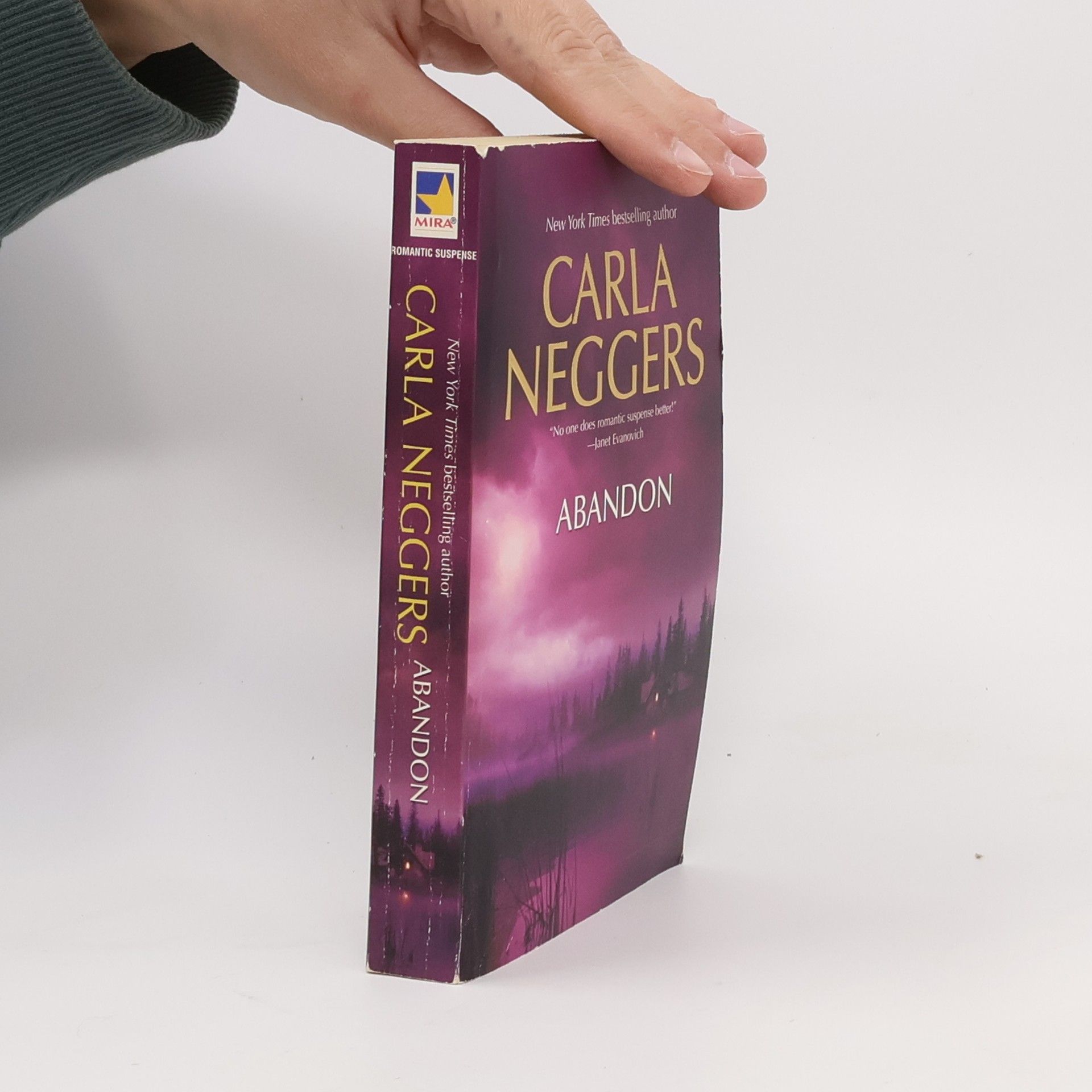 Carla Neggers Abandon