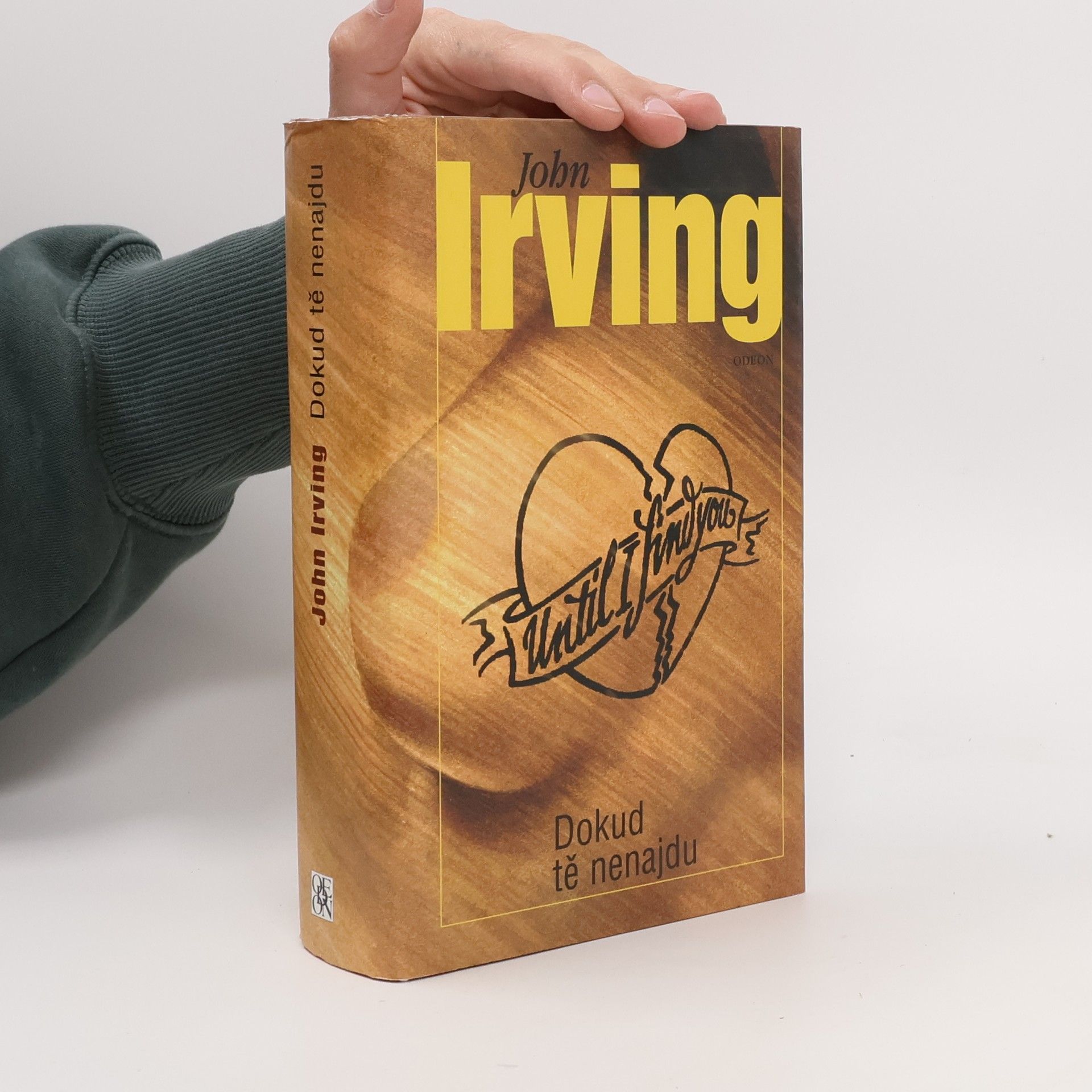 John Irving Dokud tě nenajdu