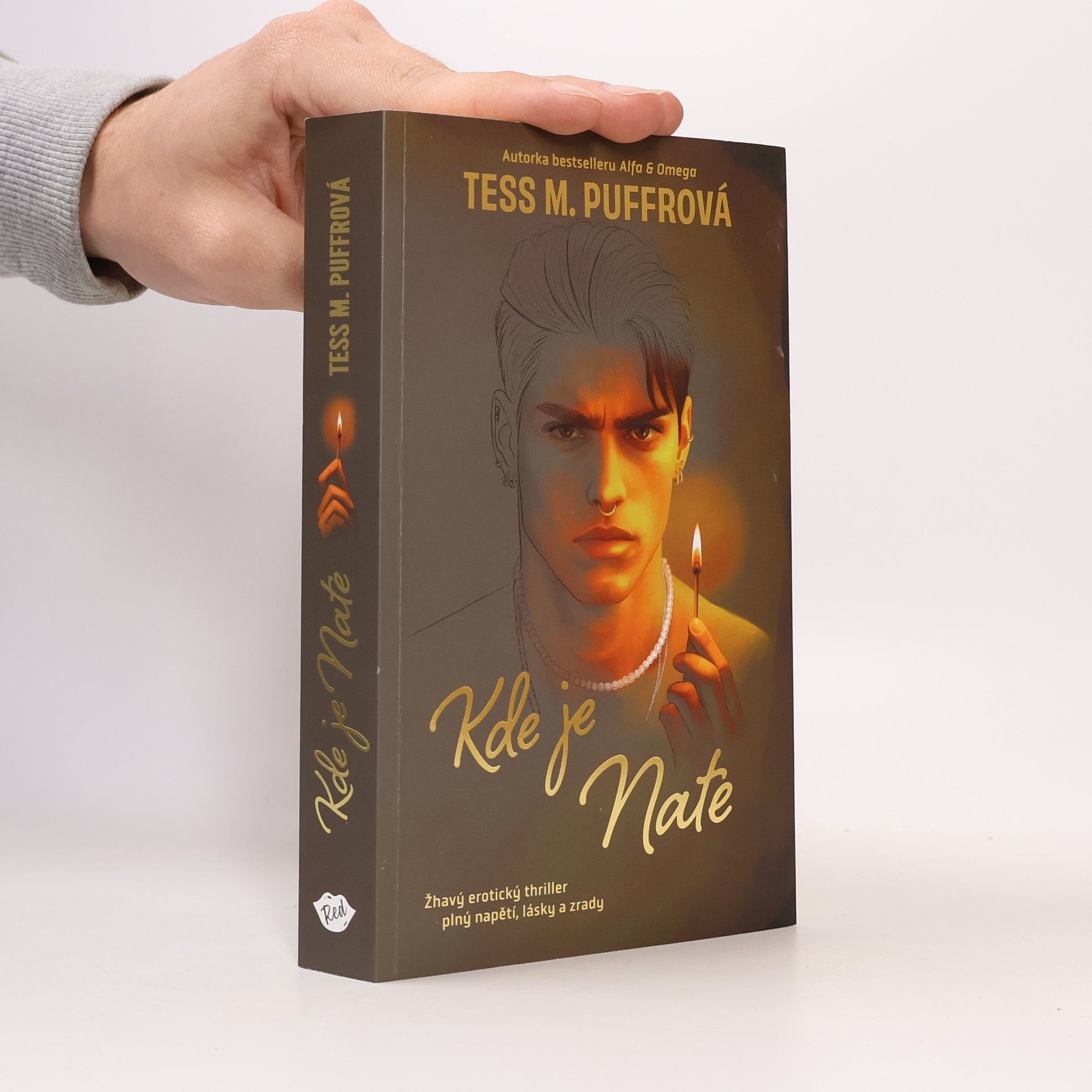 Tess M. Puffrová Kde je Nate