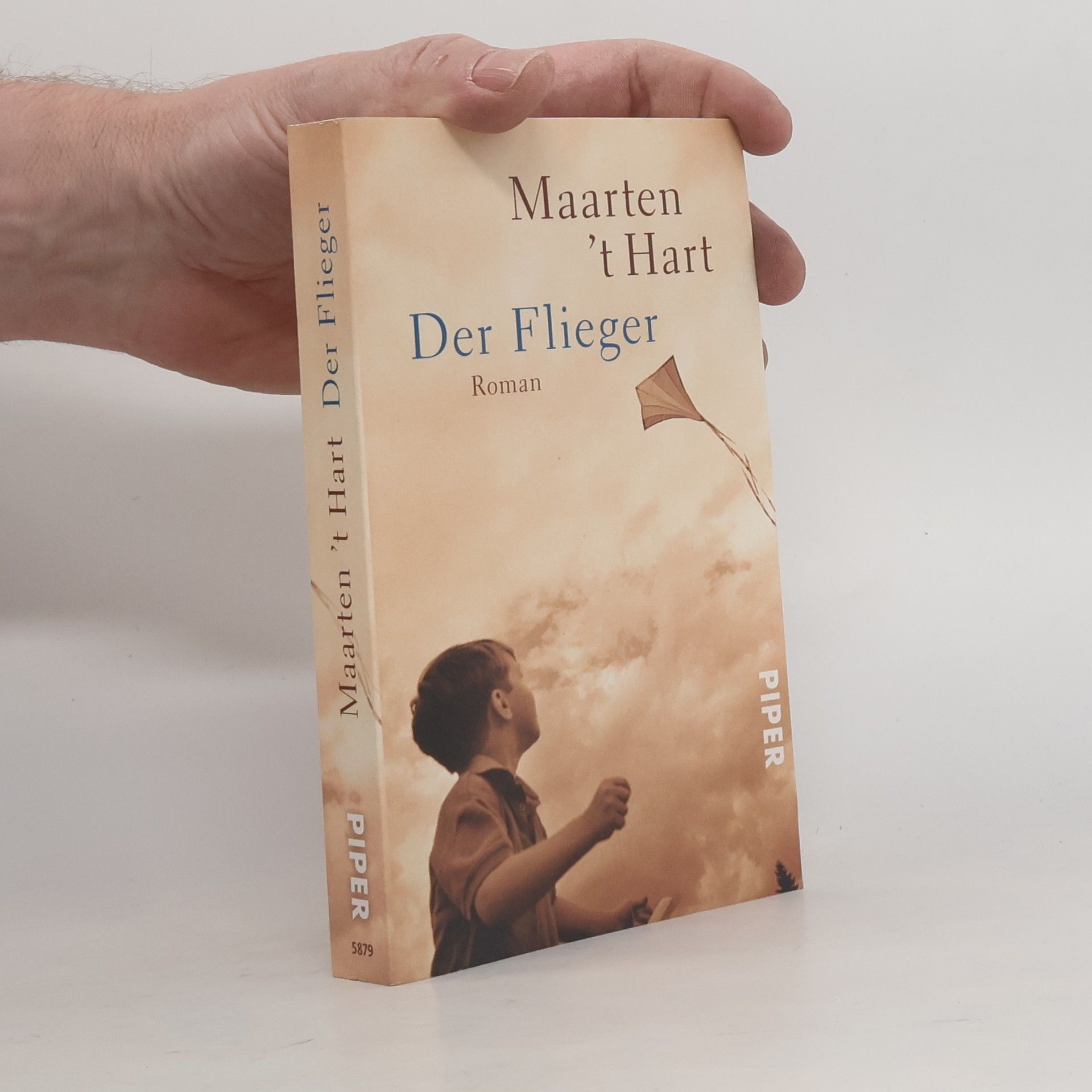 Maarten t. Hart Der Flieger