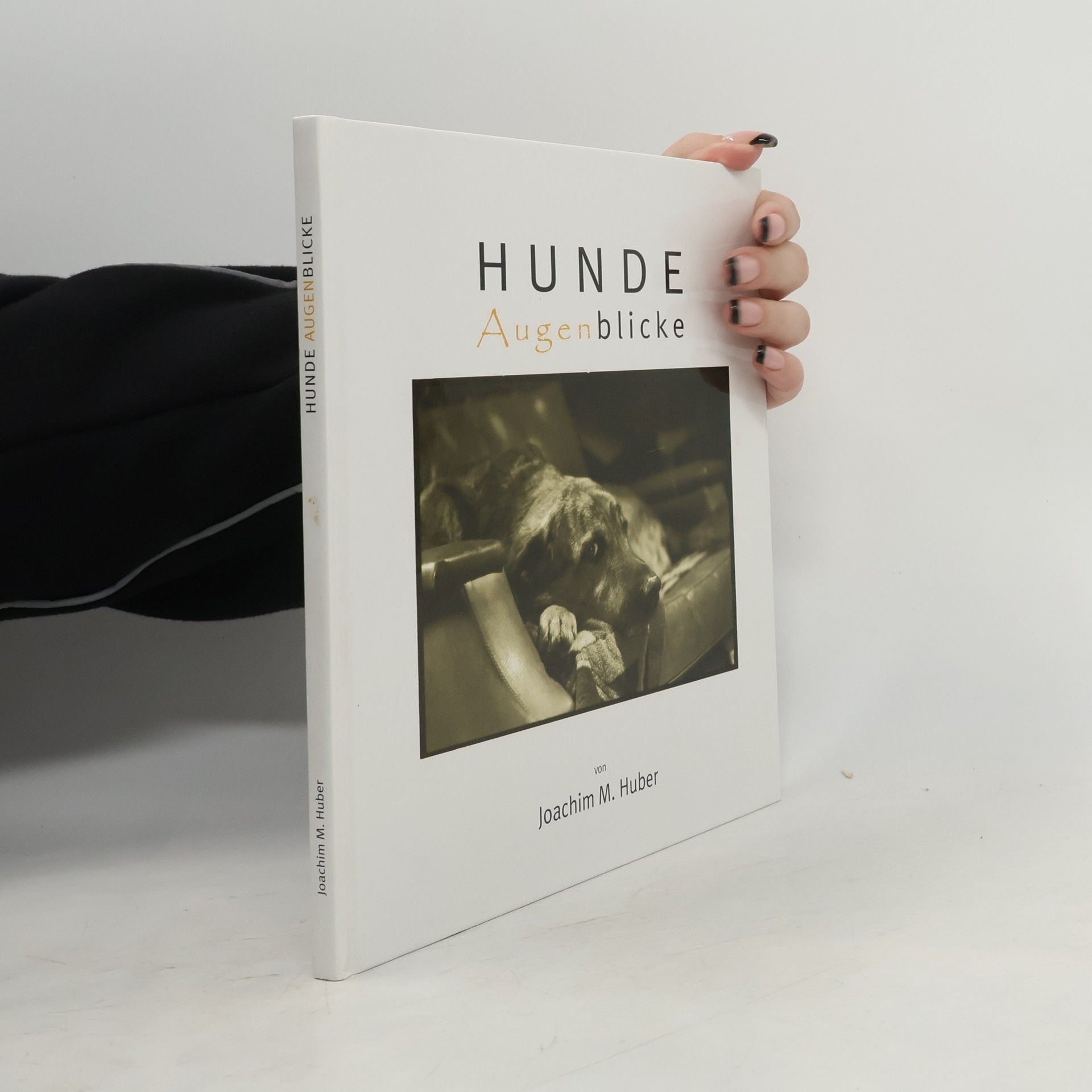 Joachim M. Huber Hunde-Augenblicke