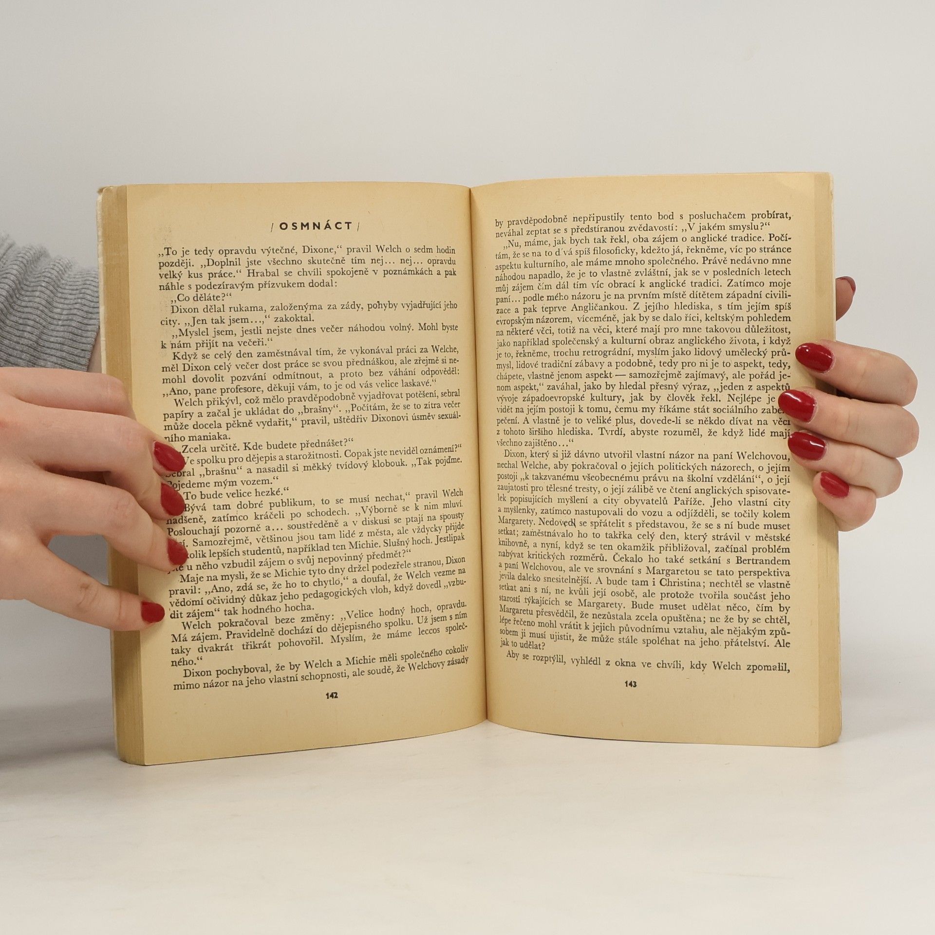 Kingsley Amis Šťastný Jim