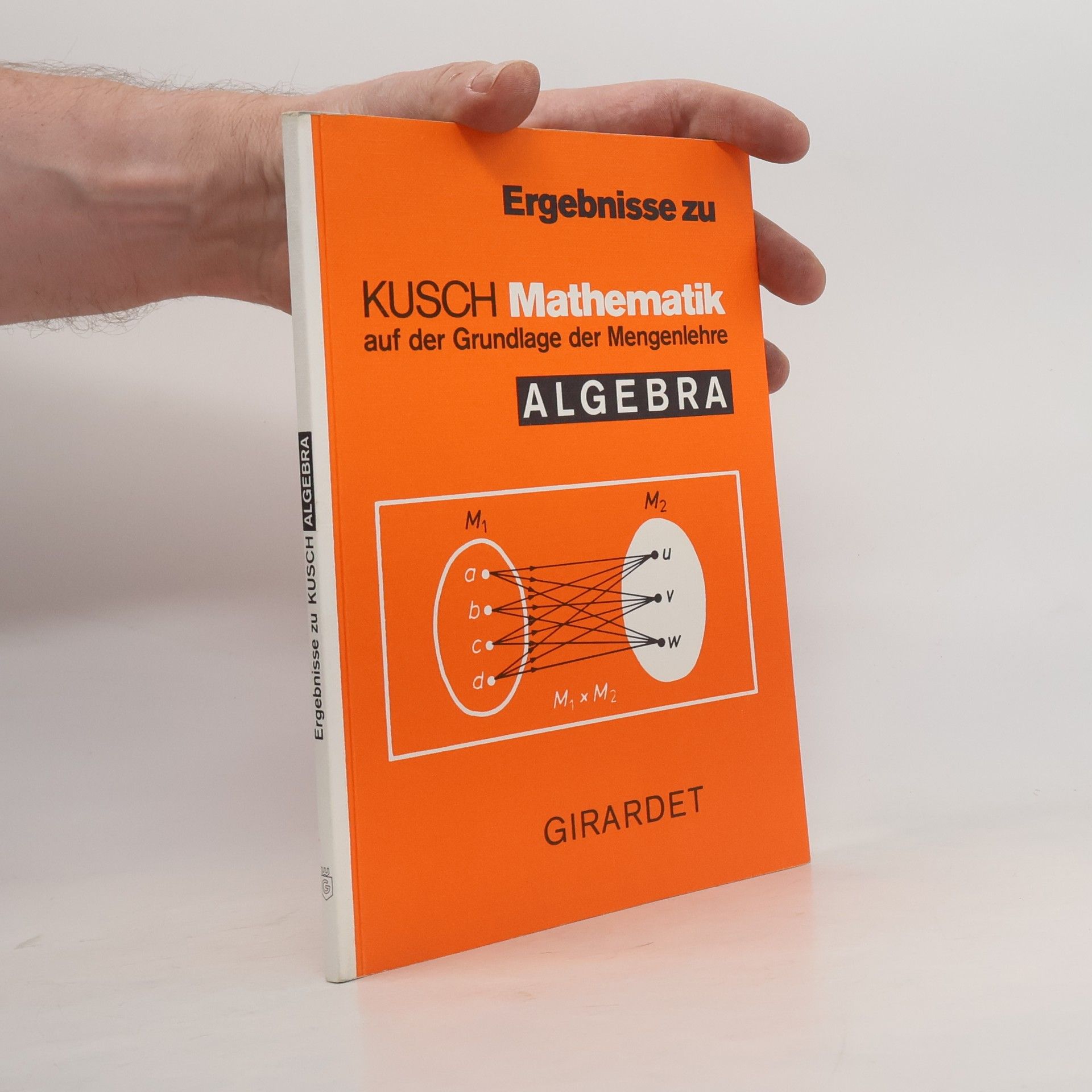 Mathematik auf der Grundlage der Mengenlehre