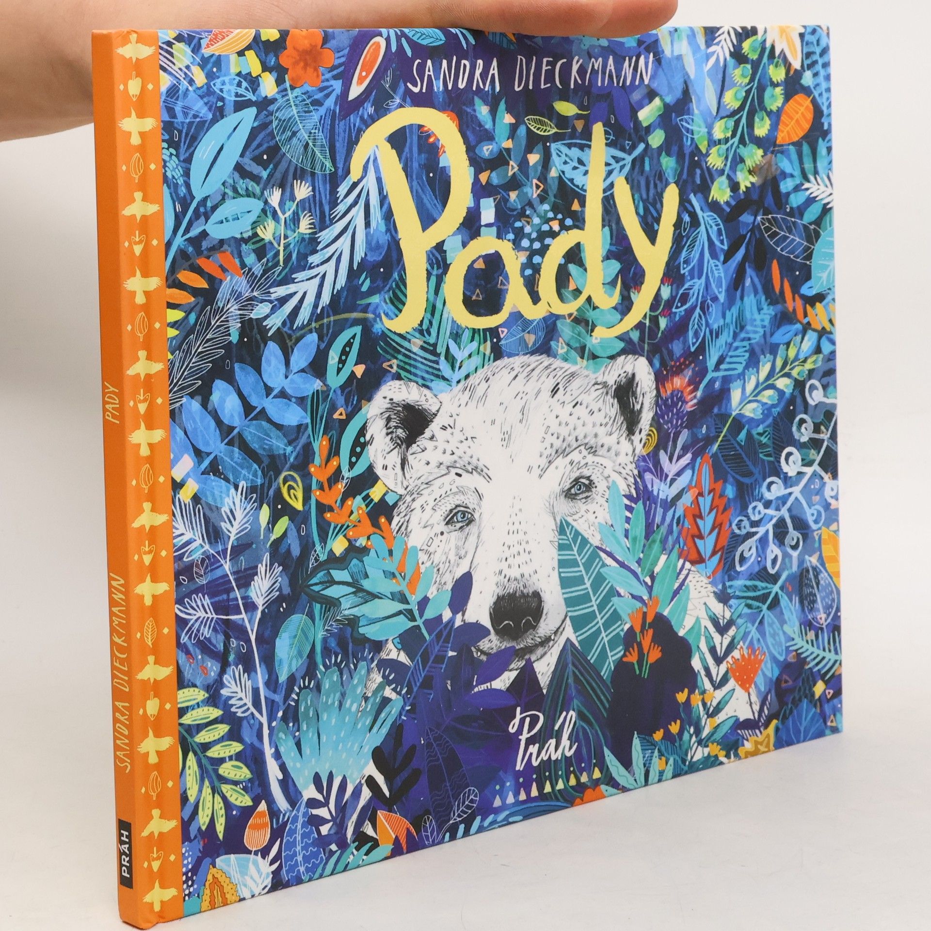 Sandra Dieckmann Pady