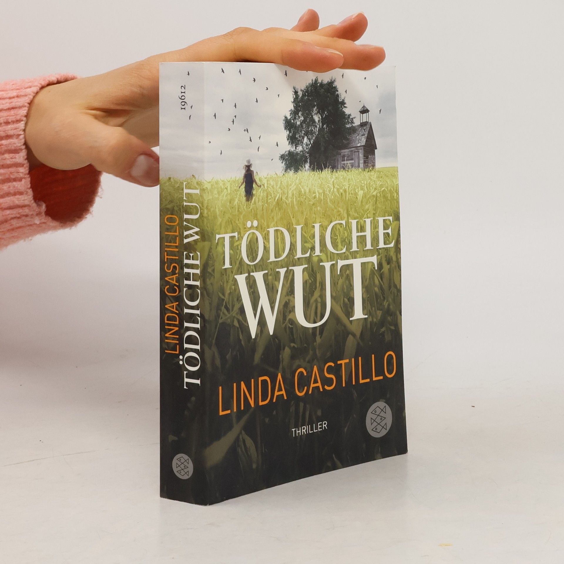 Linda Castillo Tödliche Wut