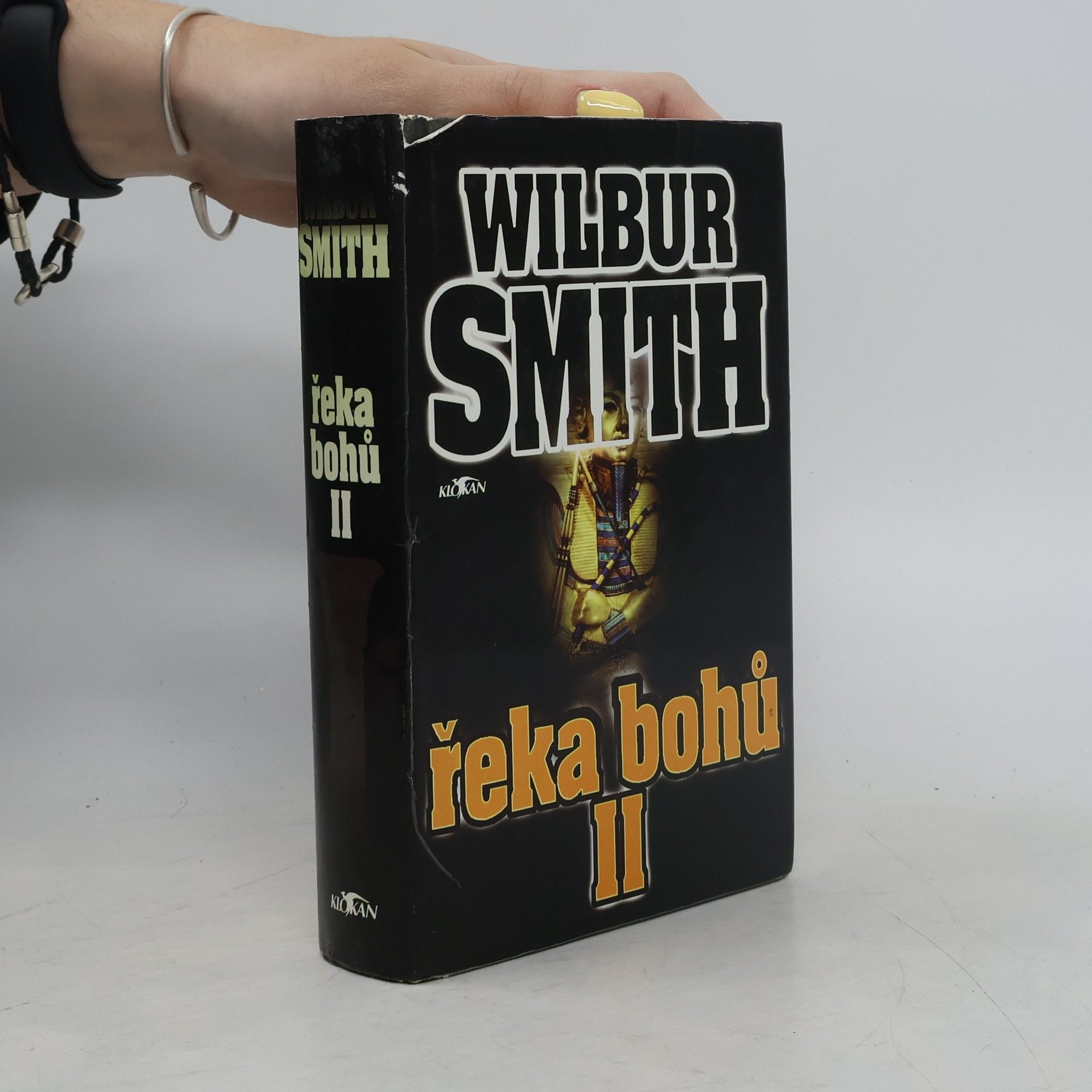 Wilbur Smith Řeka bohů II