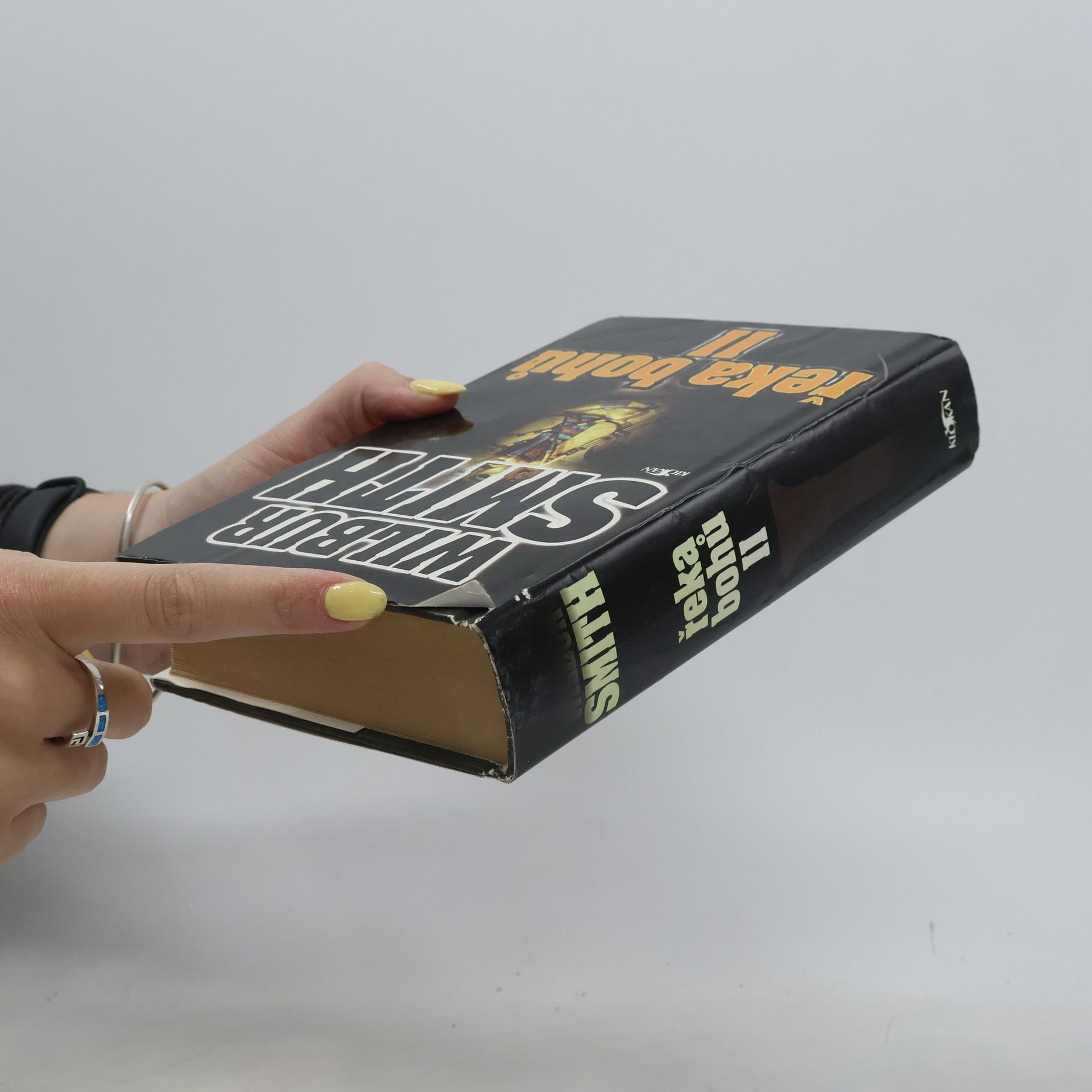 Wilbur Smith Řeka bohů II