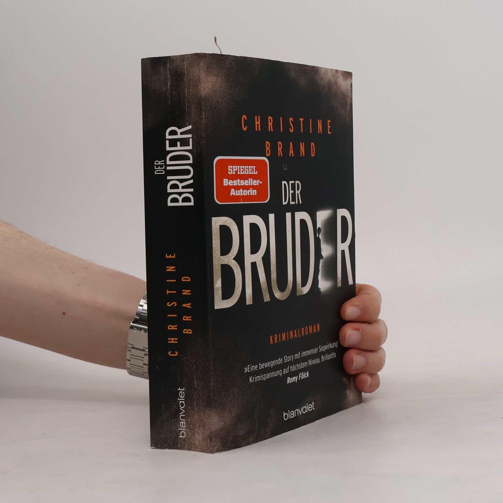 Christine Brand Der Bruder