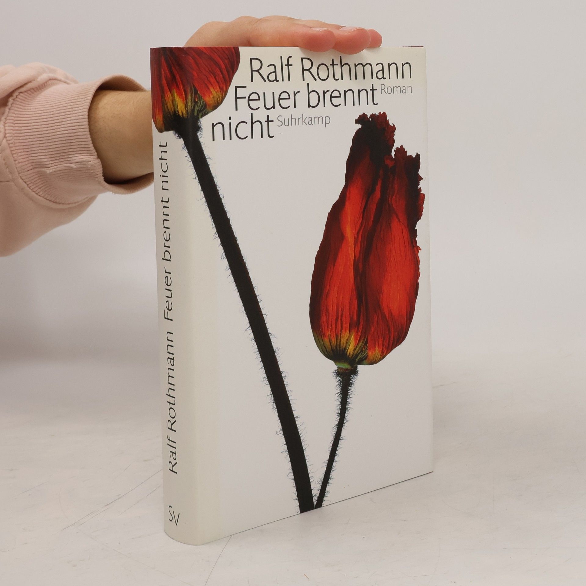 Ralf Rothmann Feuer brennt nicht